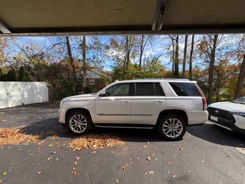 Used 2019 Cadillac Escalade Luxury image 10