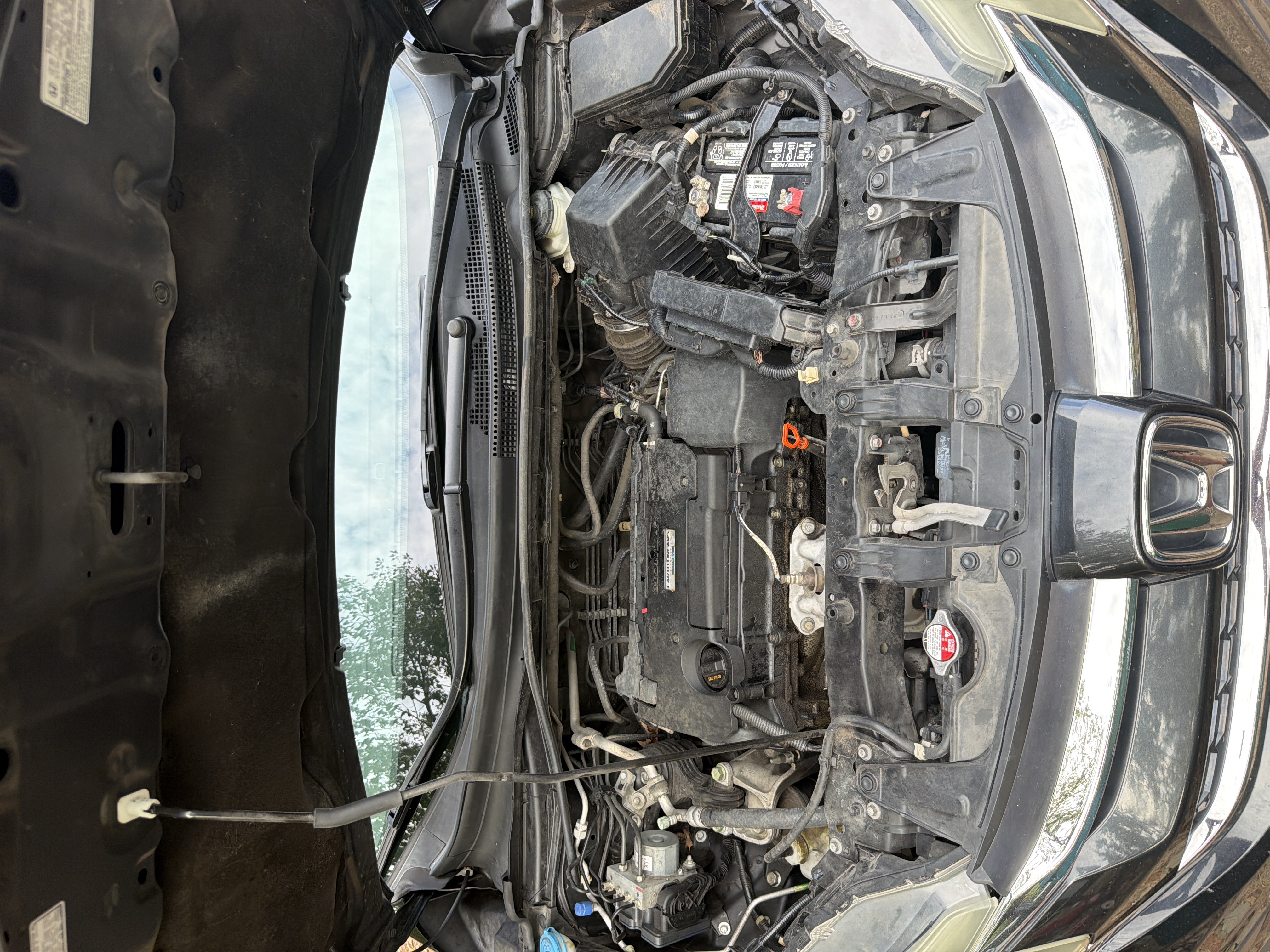 Used 2016 Honda CR-V LX image 19
