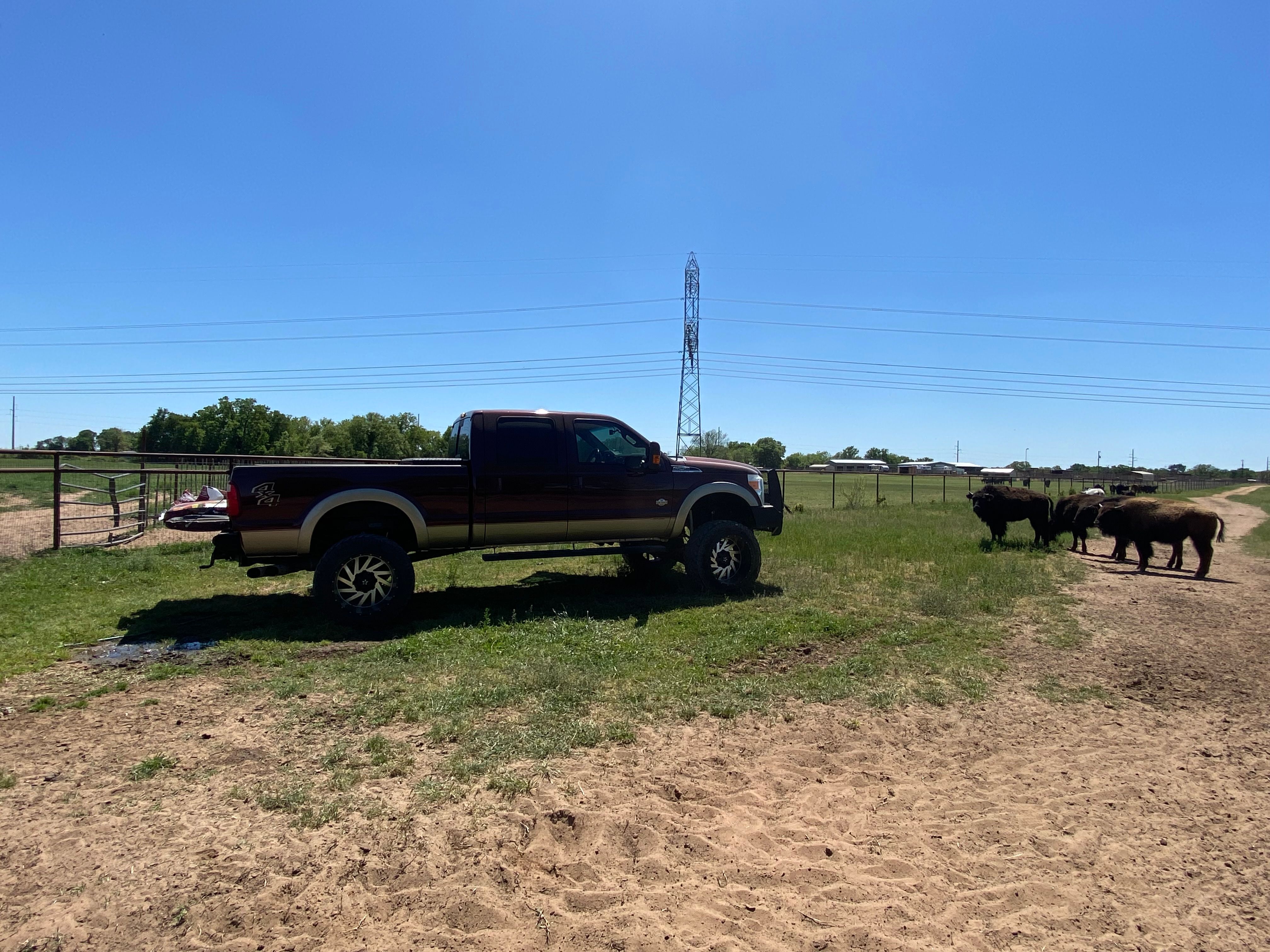 Used 2011 Ford F250 King Ranch w/ Camper Pkg AWD/4WD image 21