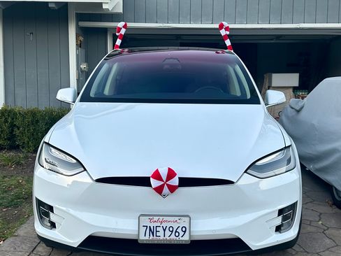 Used 2016 Tesla Model X 75D image 10