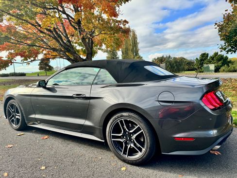 Used 2018 Ford Mustang Premium image 4