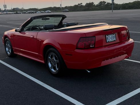 Used 2001 Ford Mustang Premium RWD image 5