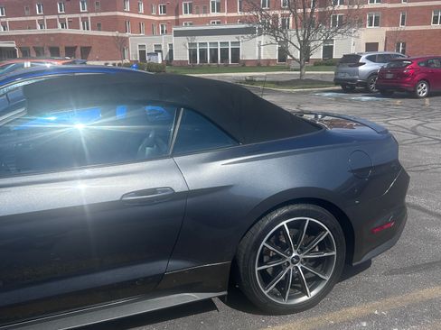 Used 2019 Ford Mustang Premium w/ Equipment Group 201A image 2