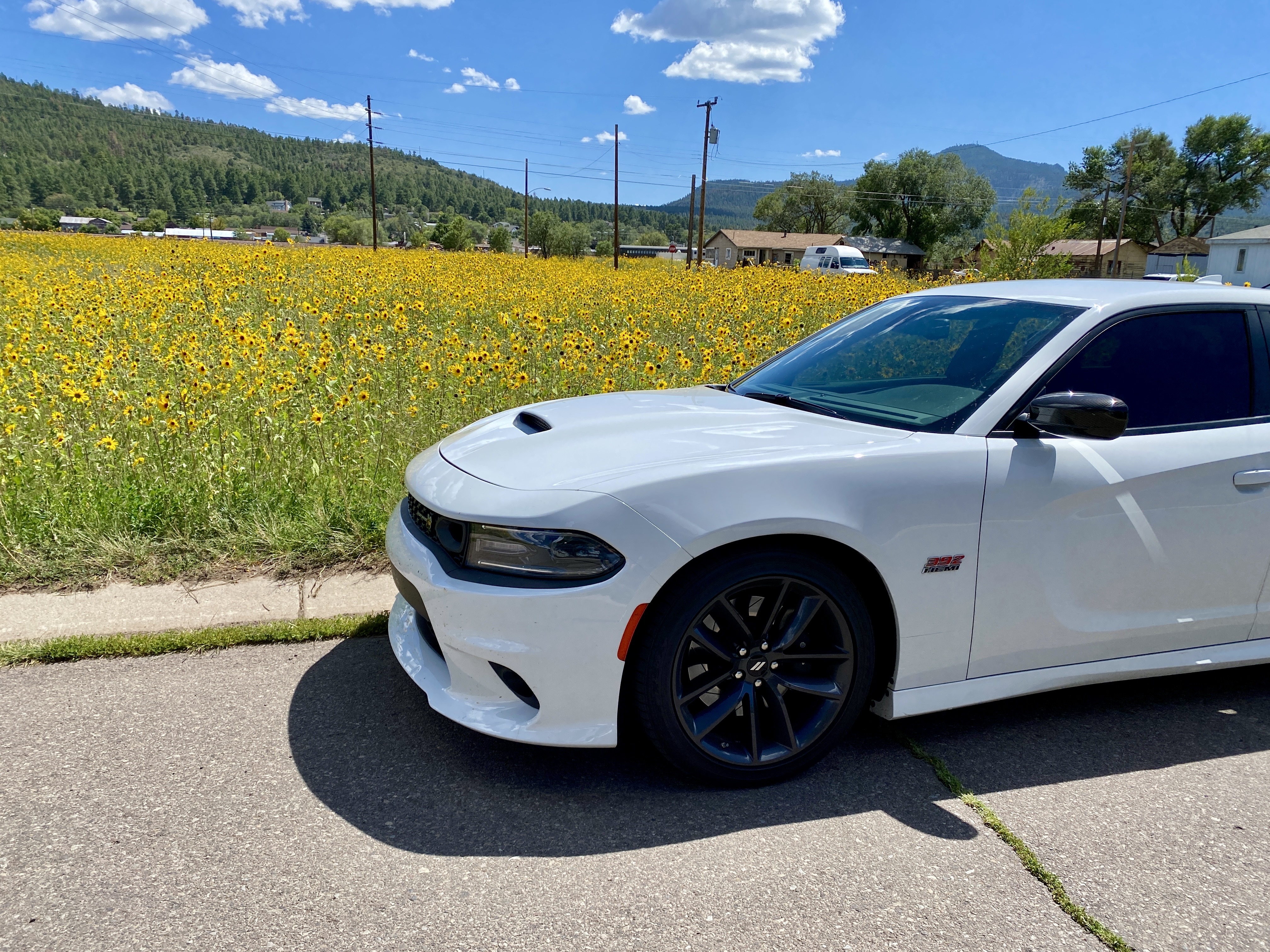 Used 2019 Dodge Charger Scat Pack w/ Driver Confidence Group RWD image 13