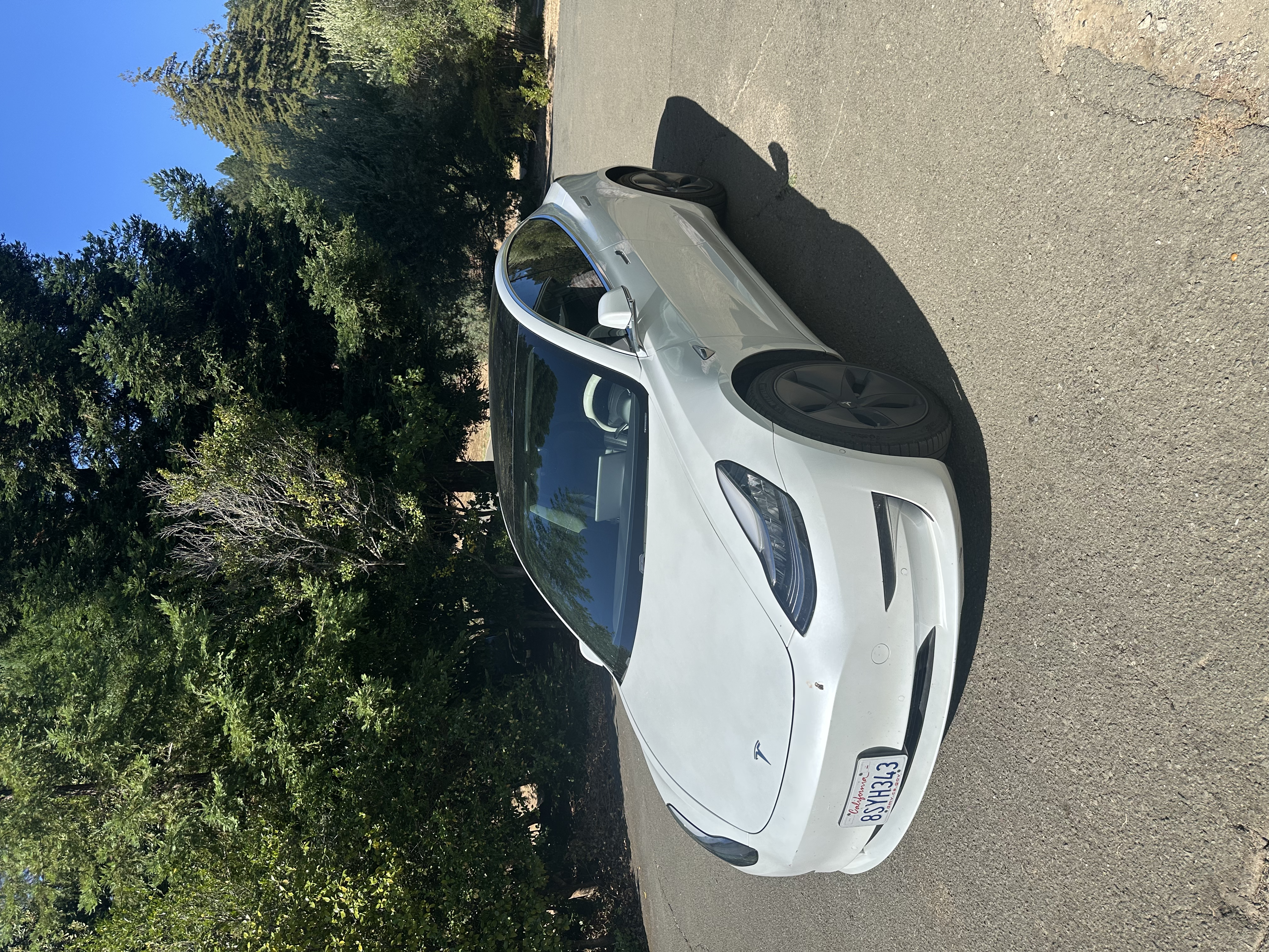 Used 2020 Tesla Model 3 Long Range AWD/4WD image 1
