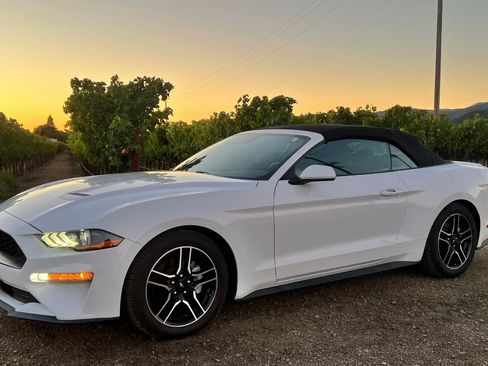 Used 2021 Ford Mustang Premium image 11