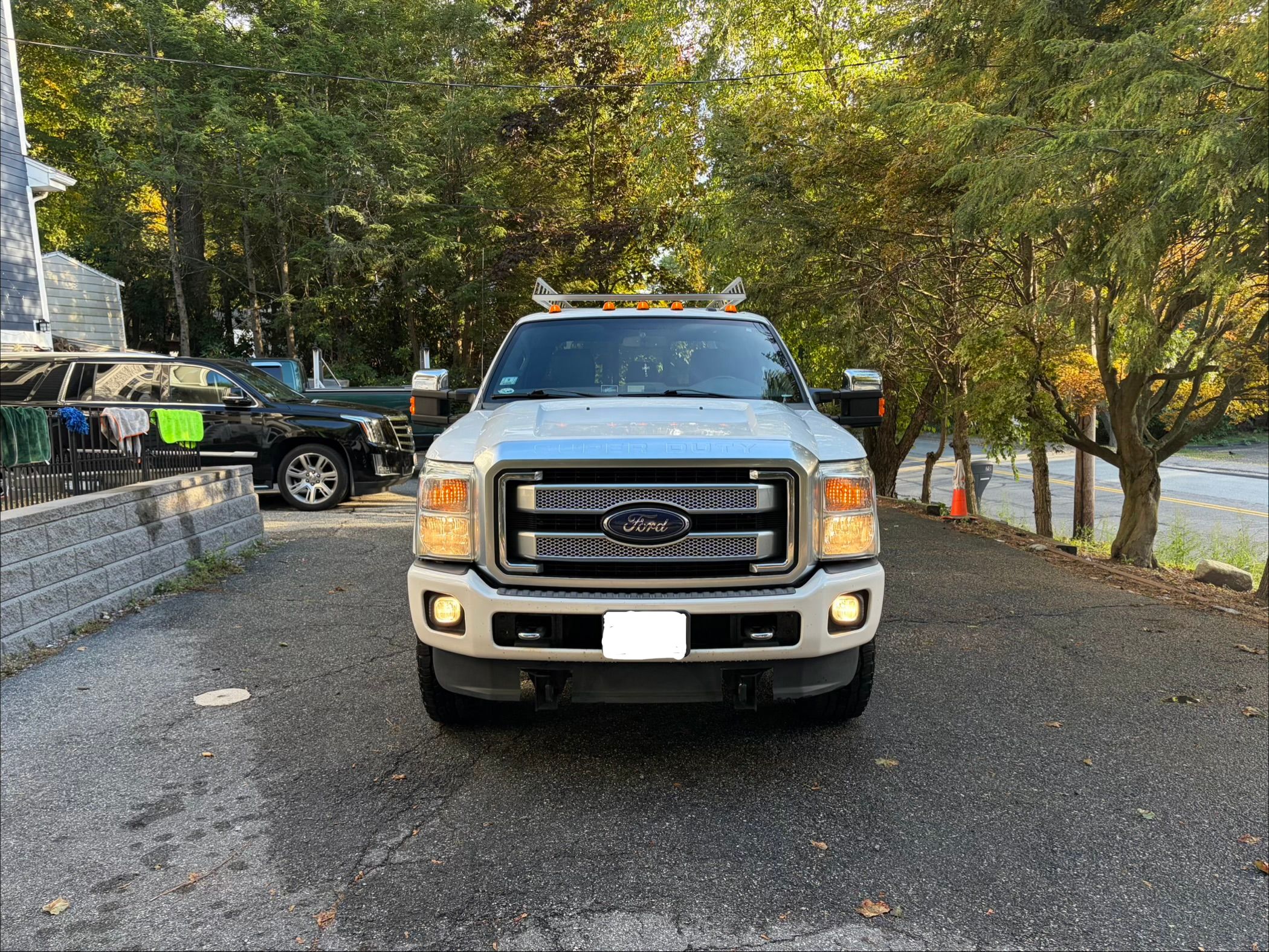 Used 2015 Ford F350 Platinum AWD/4WD image 2