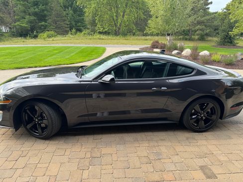 Used 2023 Ford Mustang Coupe w/ Equipment Group 101A RWD image 5
