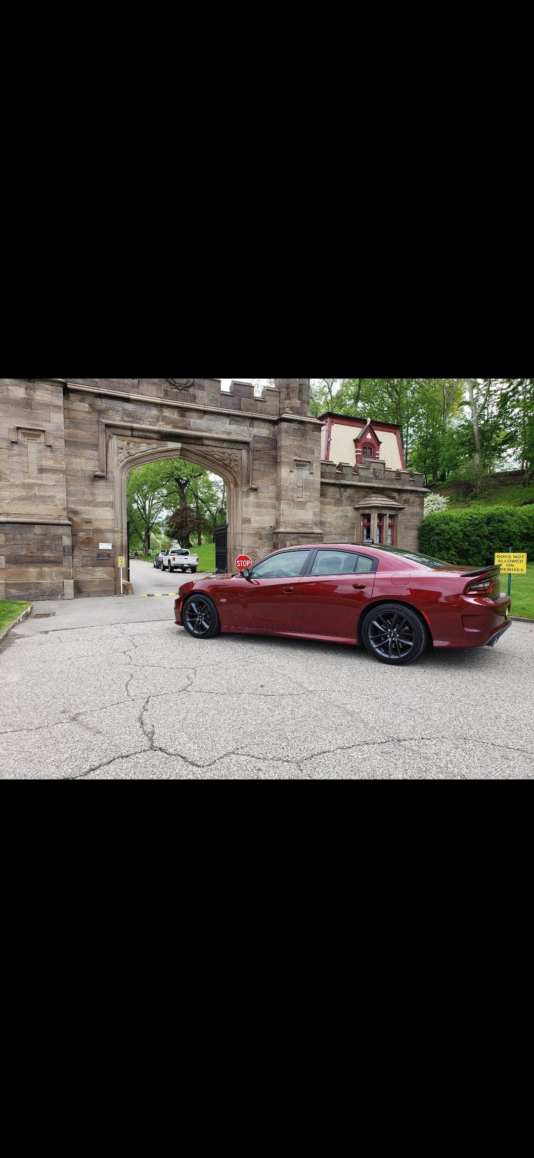 Used 2019 Dodge Charger Scat Pack w/ Plus Group RWD image 1