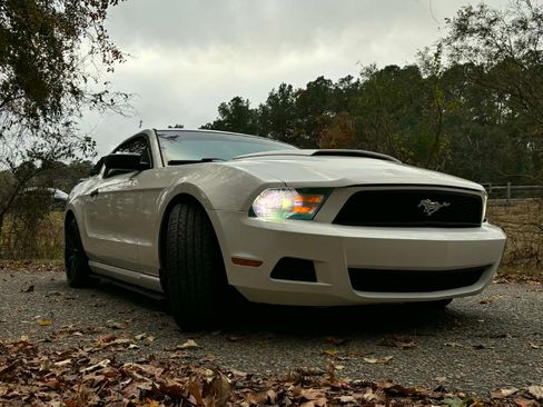 Used 2010 Ford Mustang Coupe image 15
