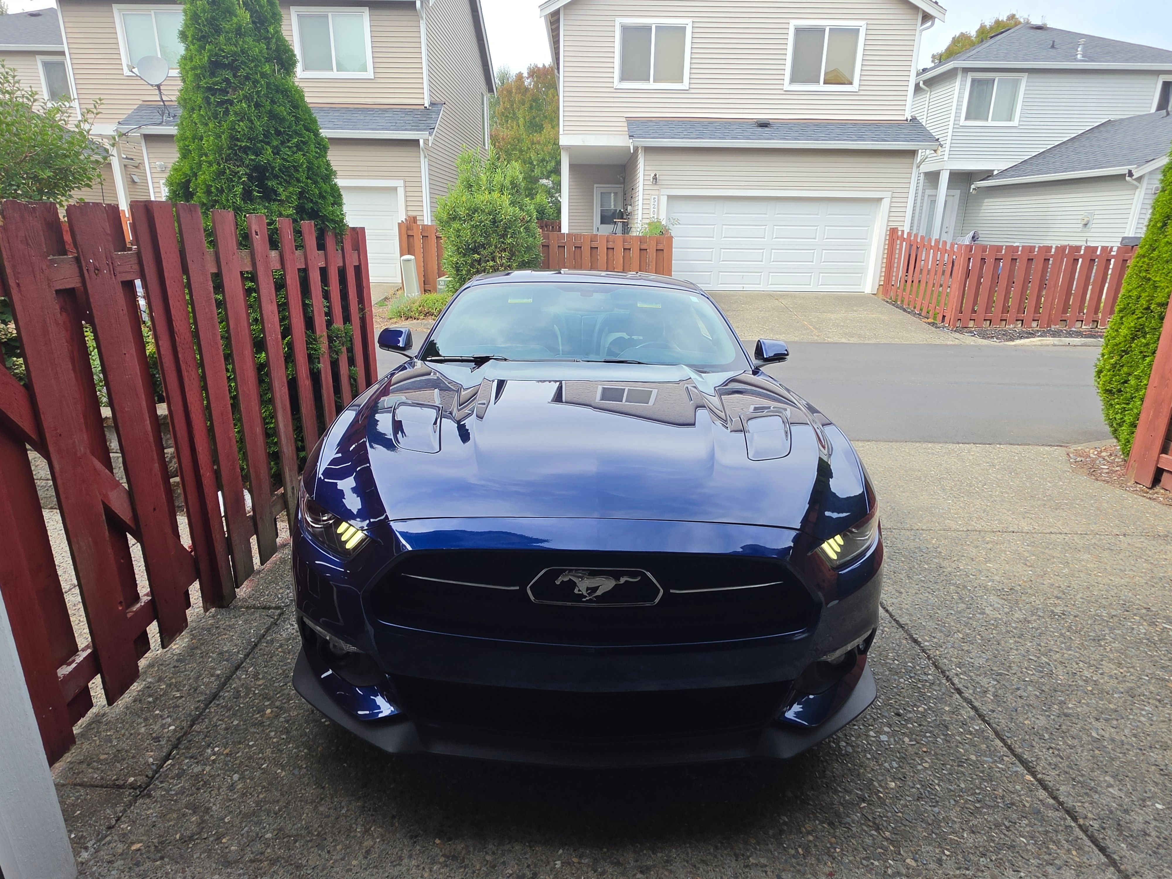 Used 2015 Ford Mustang 50 Years RWD image 5