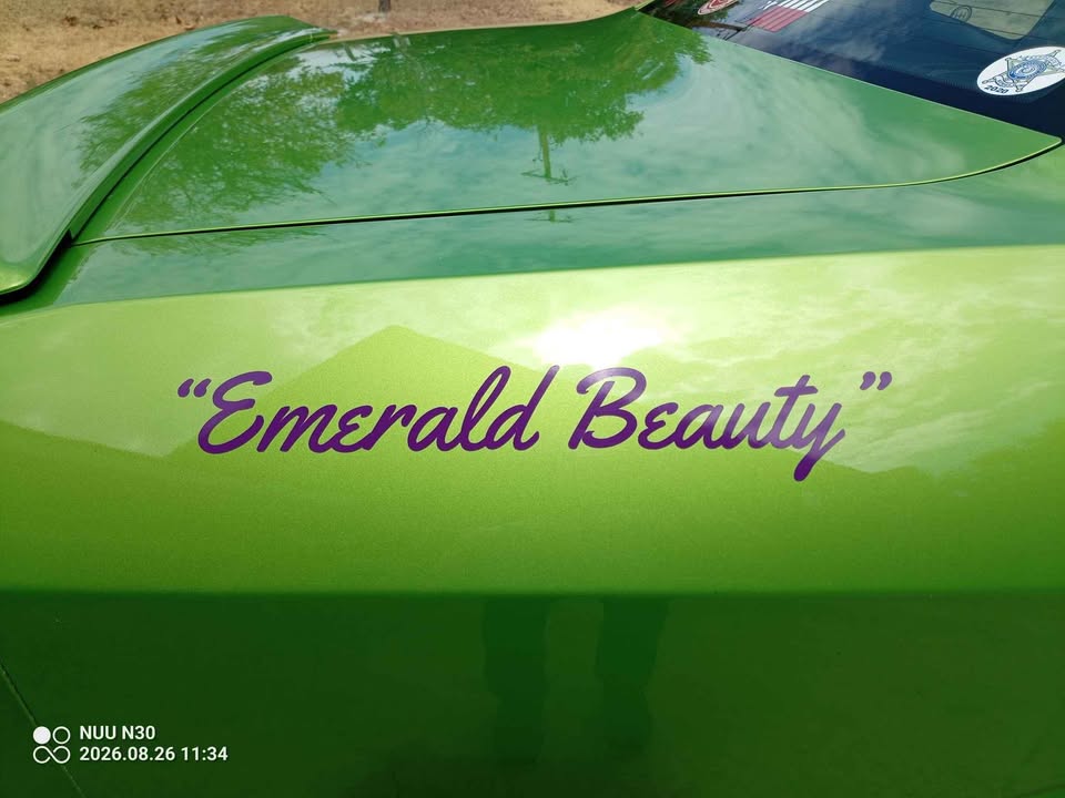 Used 2011 Dodge Challenger SRT8 w/ Green w/Envy Group RWD image 17