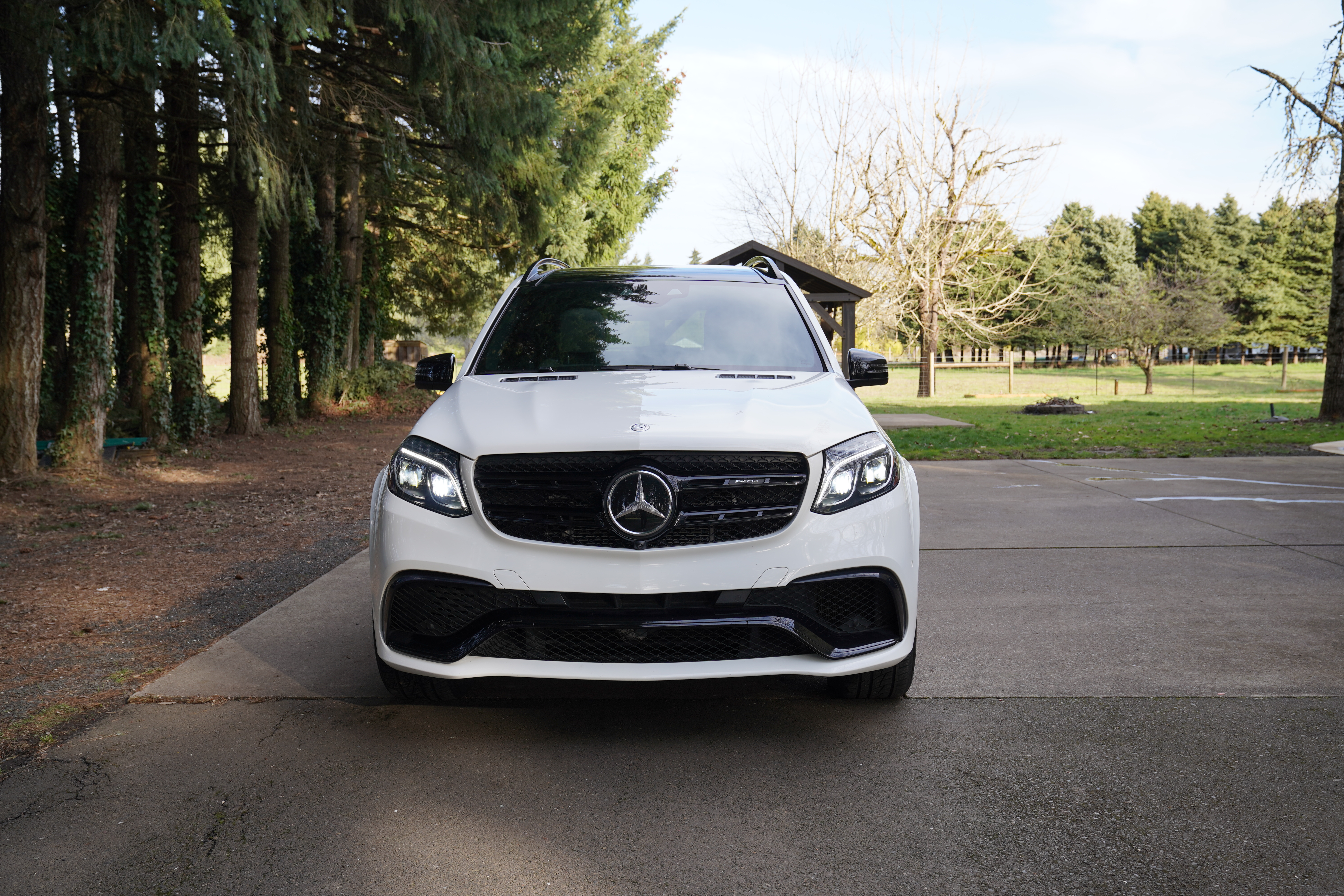 Used 2017 Mercedes-Benz GLS 63 AMG 4MATIC image 1