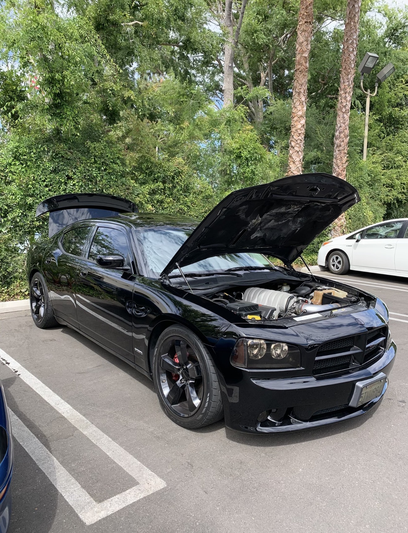 Used 2006 Dodge Charger SRT8 w/ SRT Option Group III RWD image 1
