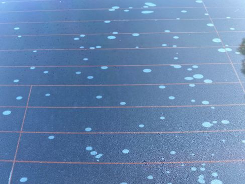 Used 2019 Kia Optima S image 20