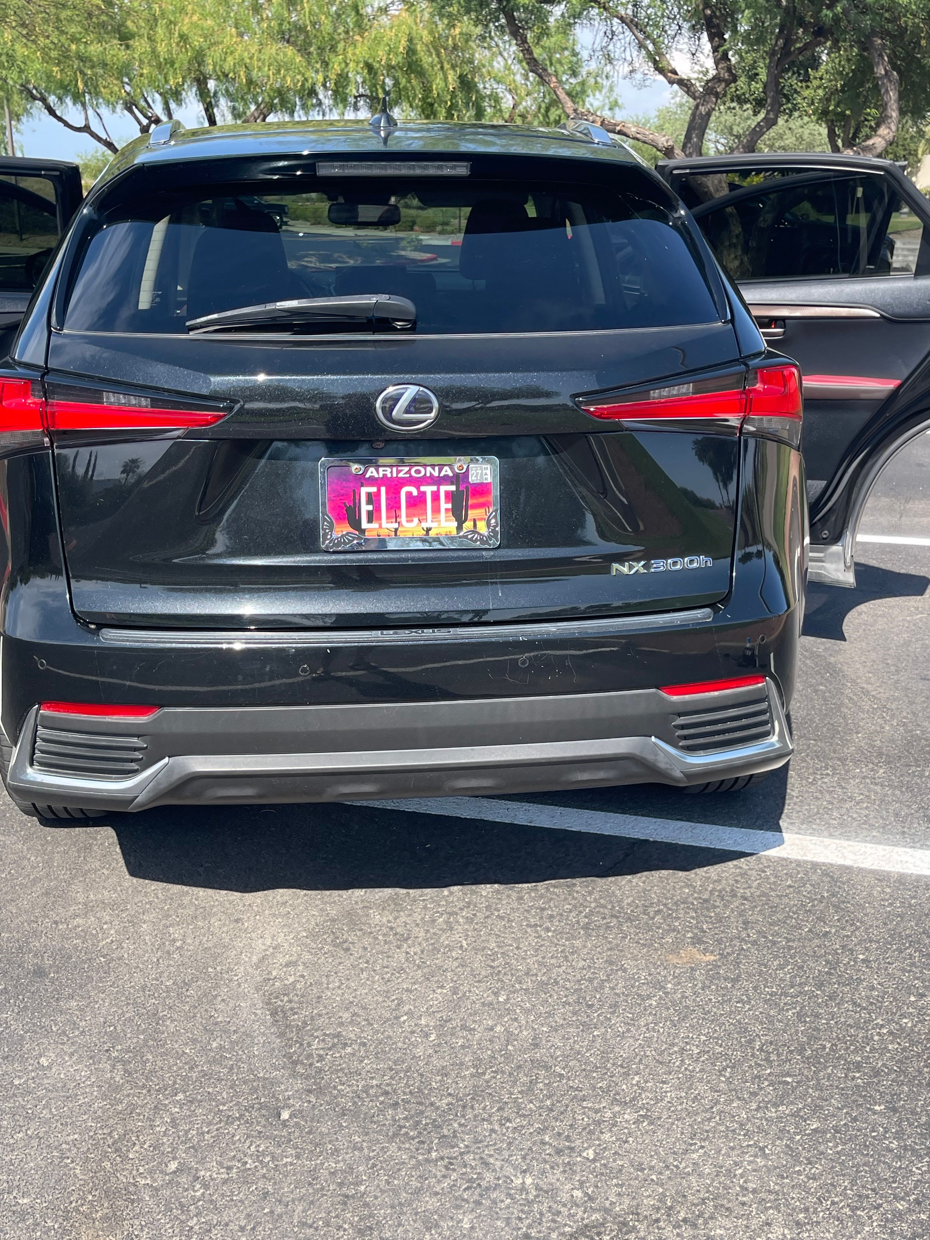 Used 2019 Lexus NX 300h AWD w/ Premium Package image 4