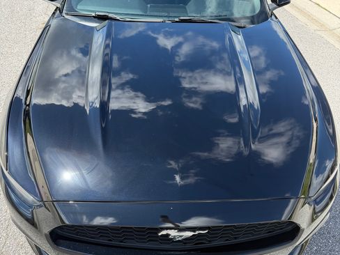 Used 2017 Ford Mustang Coupe RWD image 10