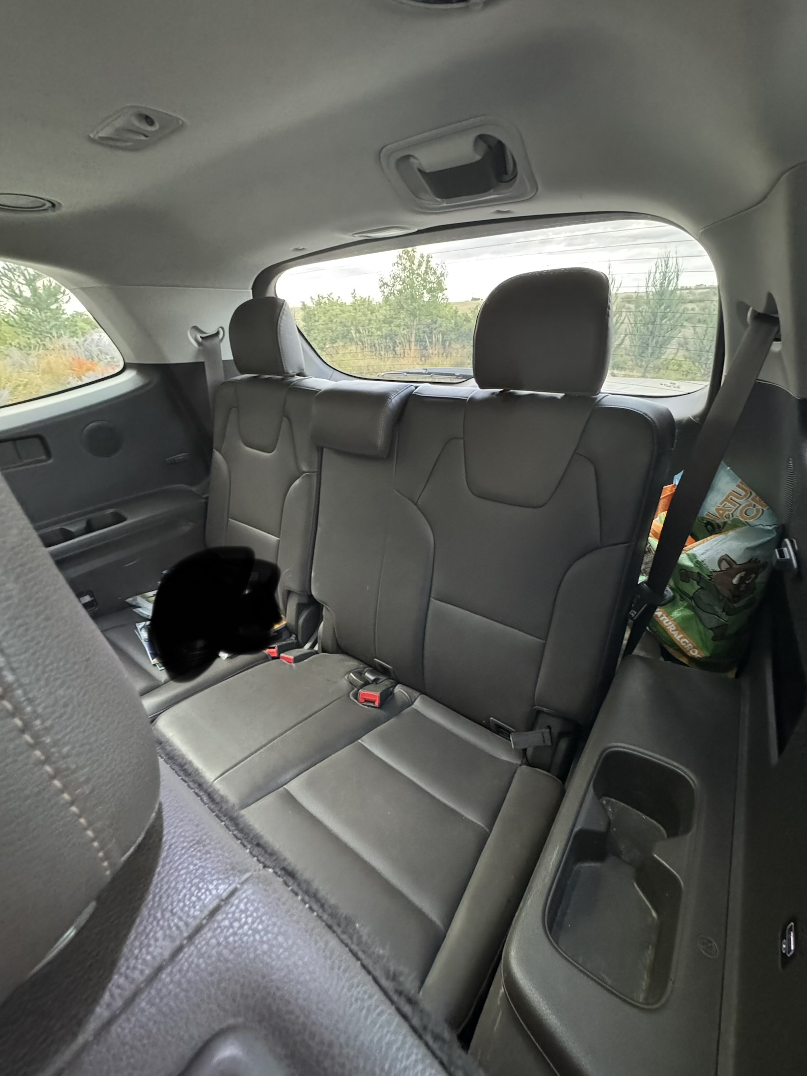 Used 2021 Kia Telluride SX w/ Towing Package AWD/4WD image 9