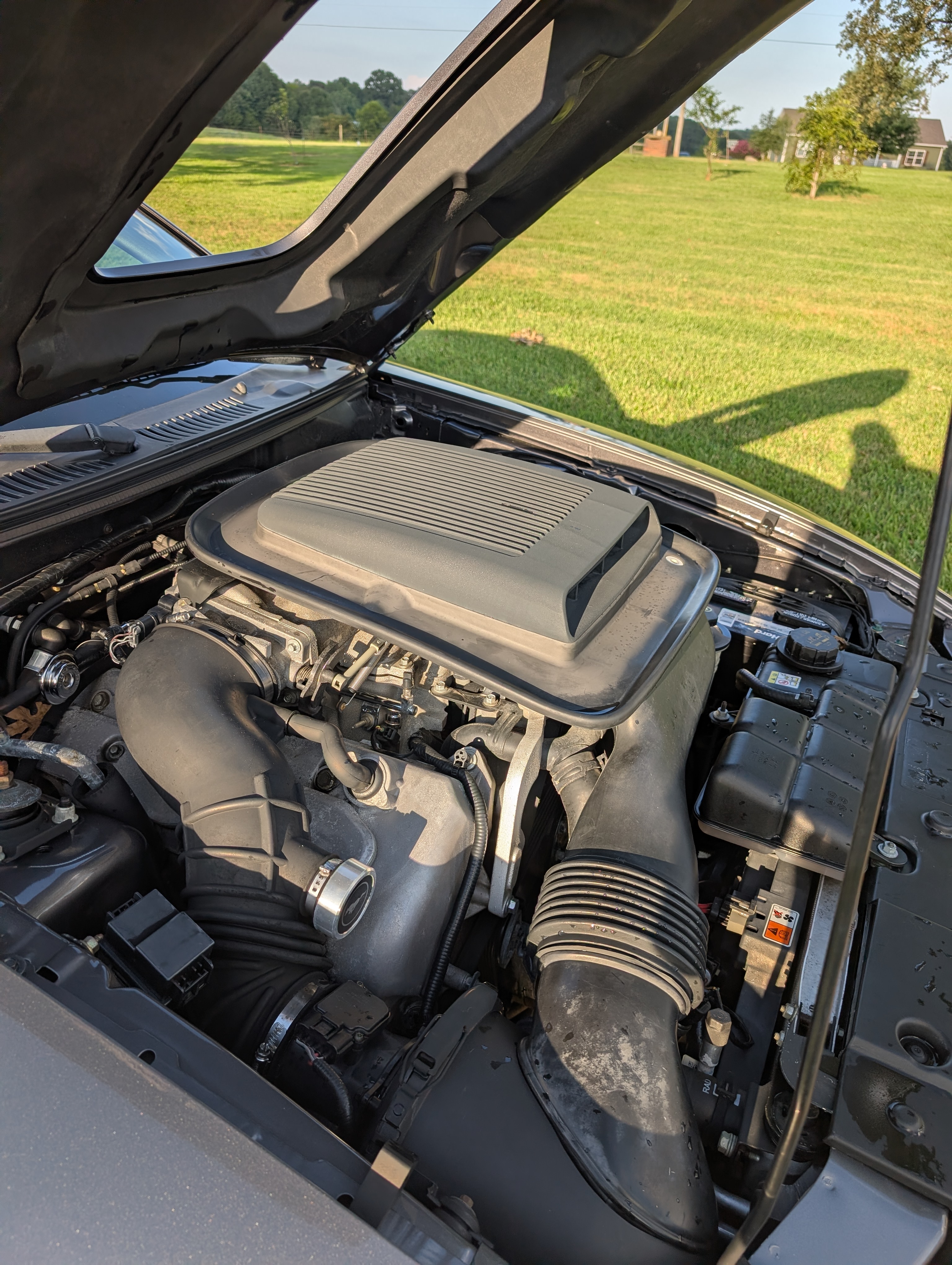 Used 2004 Ford Mustang Mach 1 RWD image 2