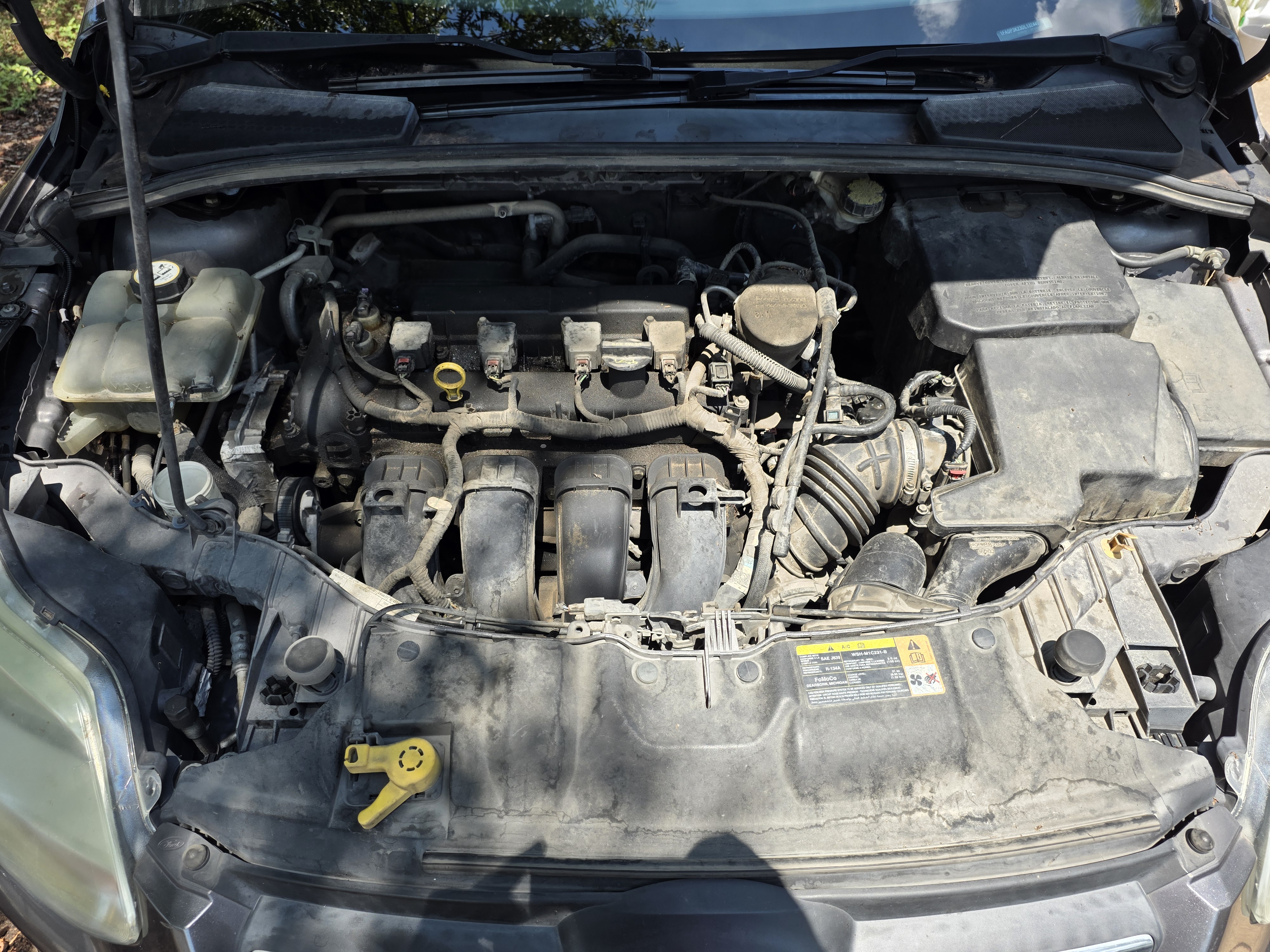 Used 2013 Ford Focus SE FWD image 13