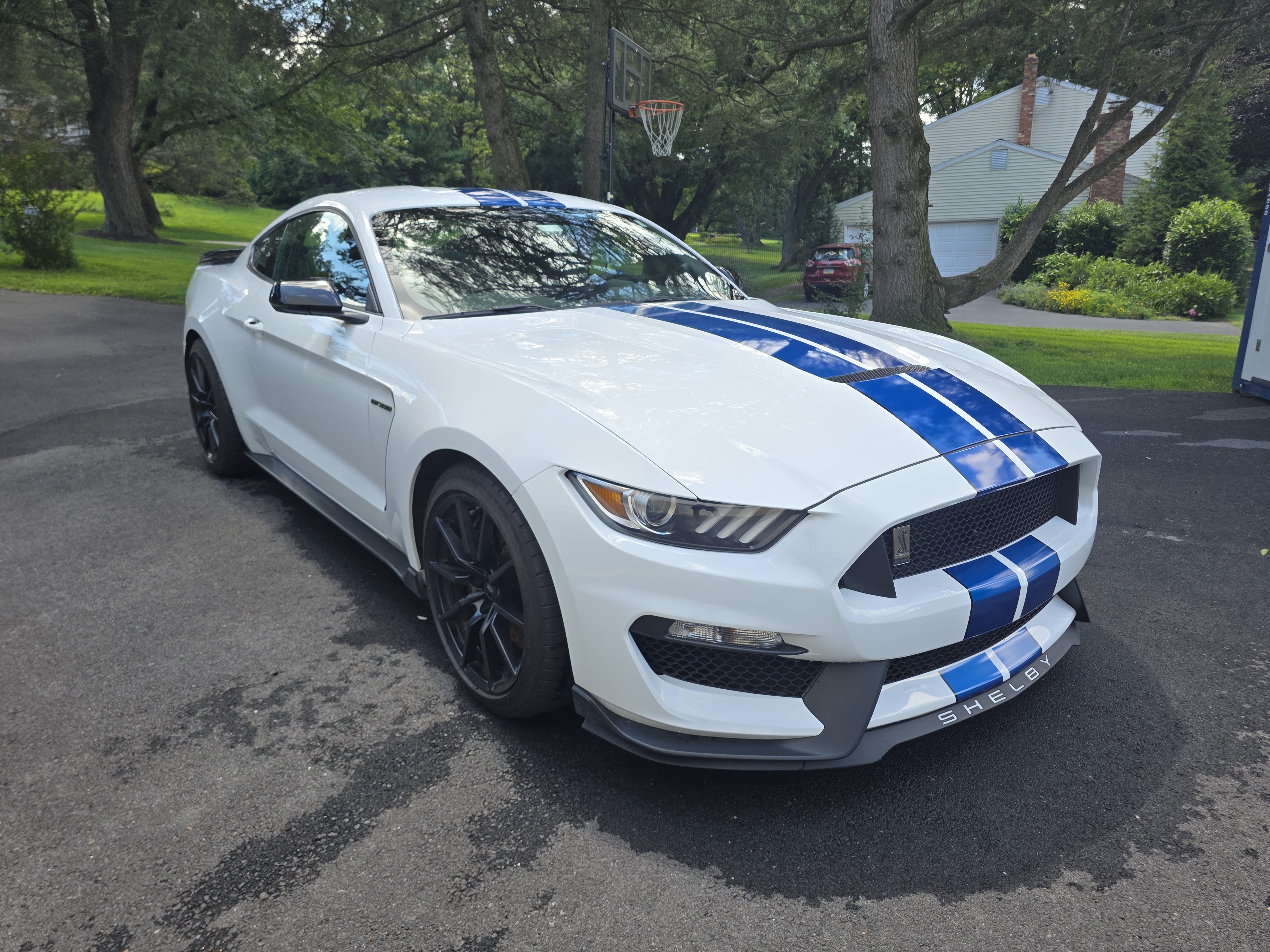 Used 2018 Ford Mustang Shelby GT350 w/ Electronics Package RWD image 2