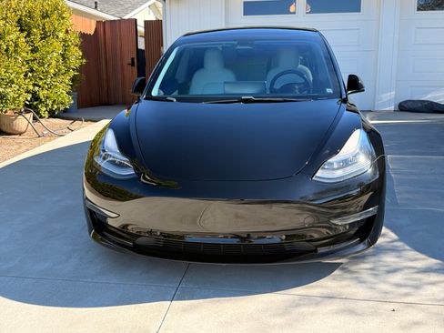 Used 2019 Tesla Model 3 Standard Range Plus image 4