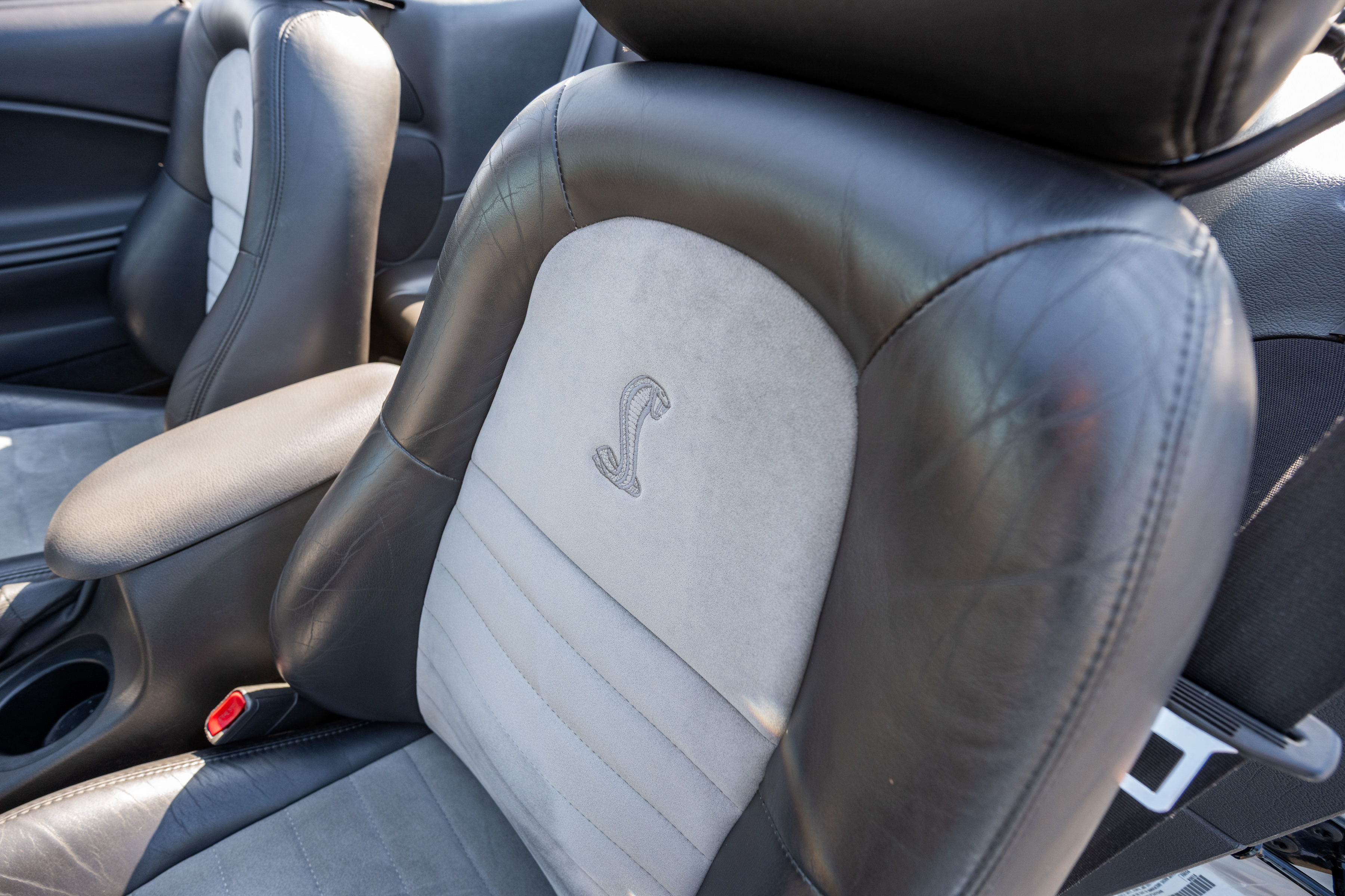 Used 2001 Ford Mustang Cobra RWD image 20