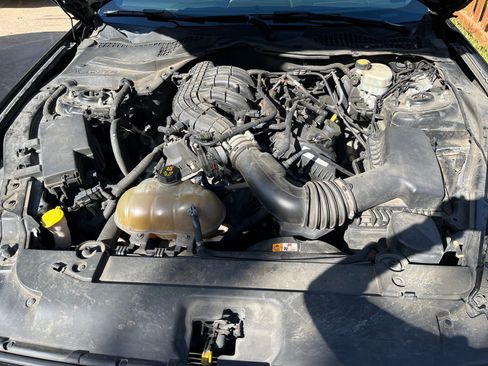 Used 2015 Ford Mustang Coupe w/ Equipment Group 051A image 13