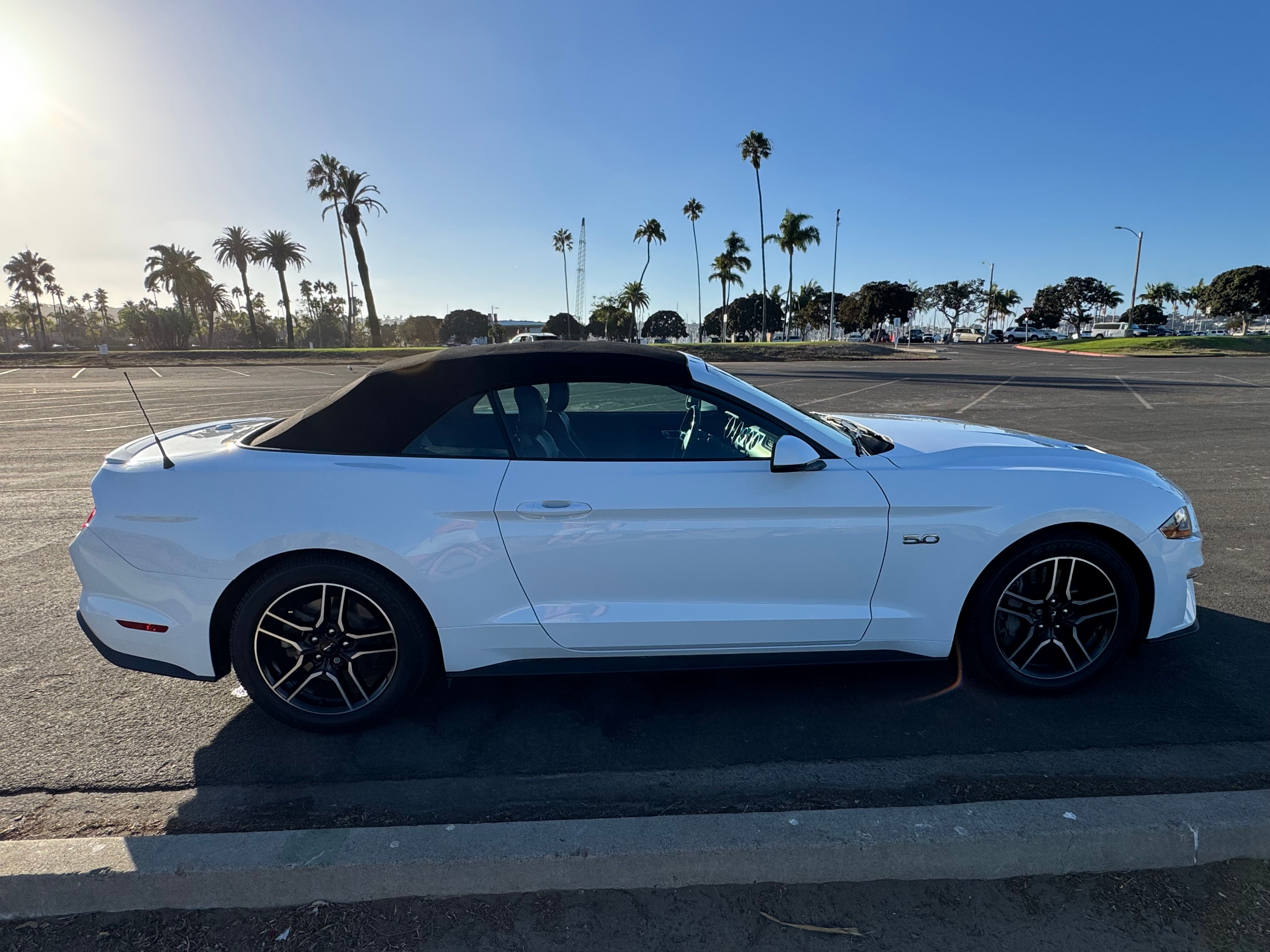 Used 2019 Ford Mustang GT Premium RWD image 14