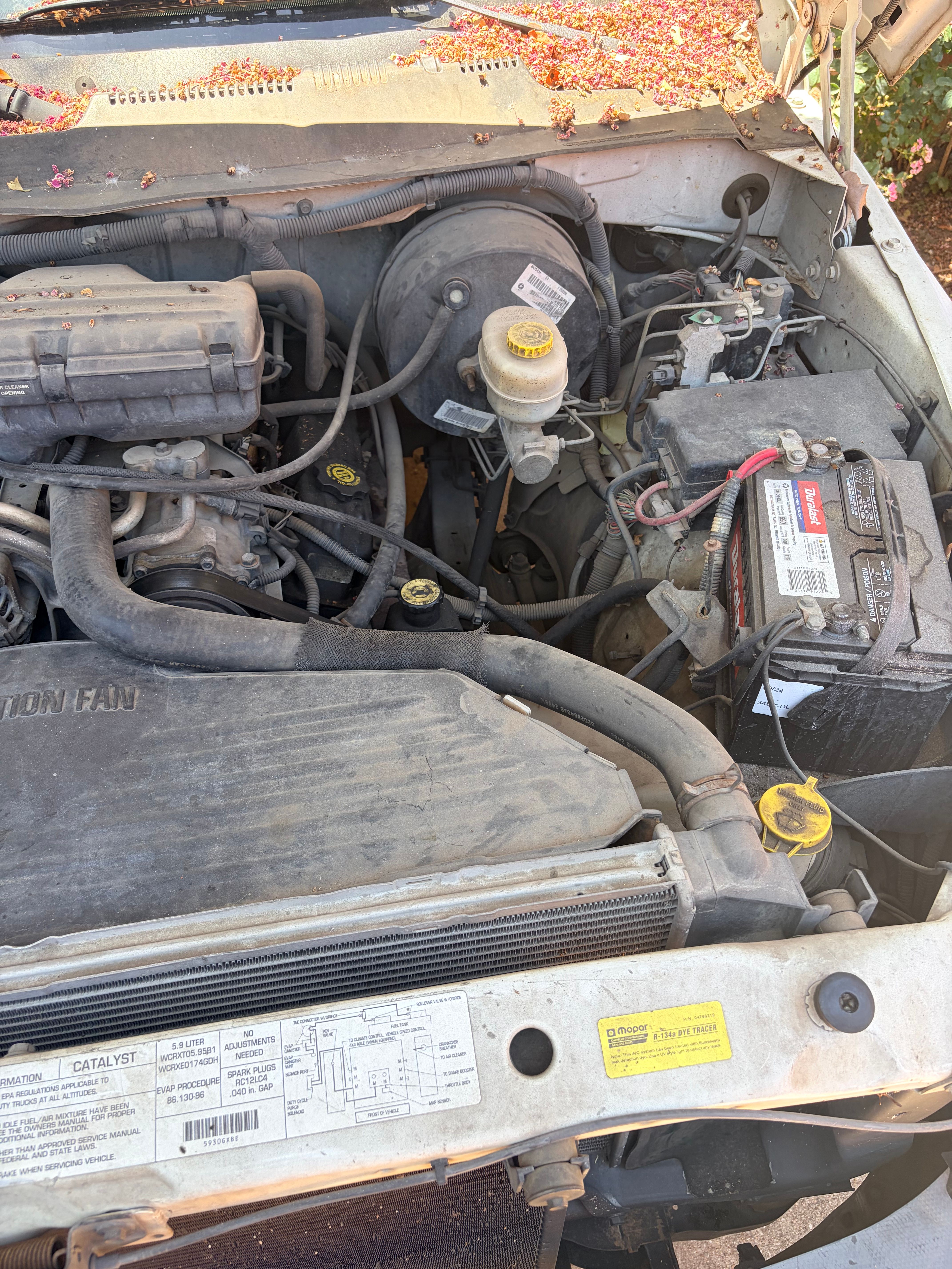 Used 1998 Dodge Ram 1500 Truck 2WD Quad Cab image 15