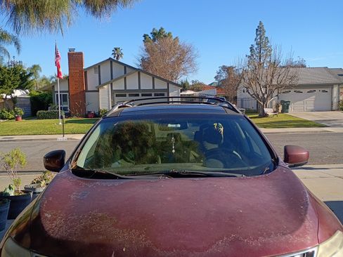 Used 2010 Nissan Murano LE w/ Navigation Pkg image 1