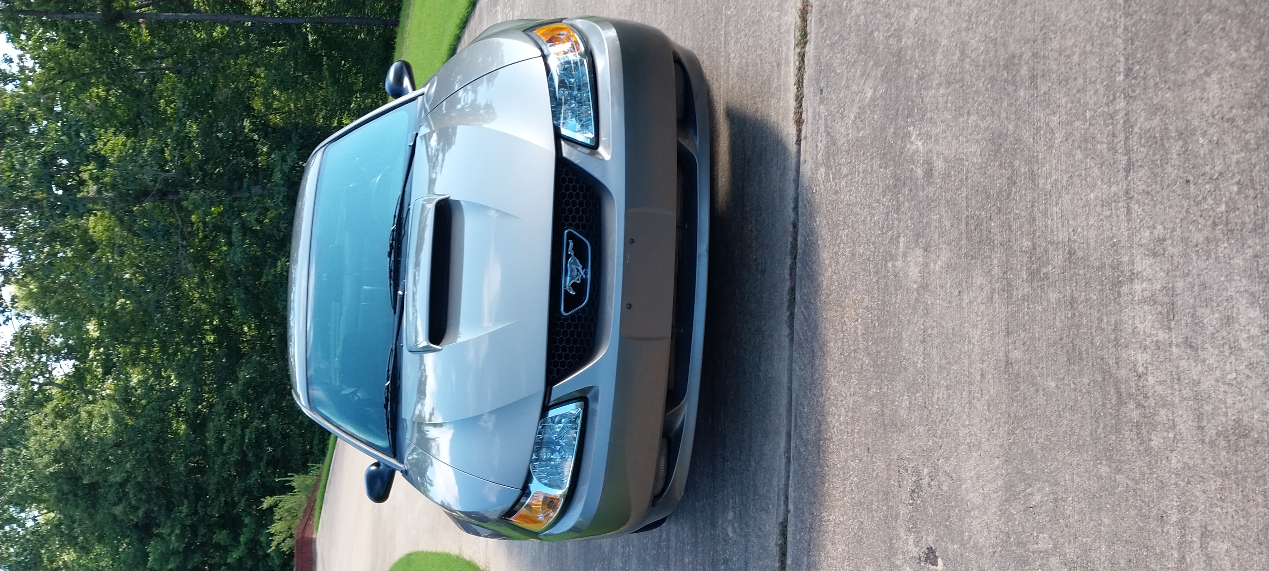 Used 2002 Ford Mustang GT Premium RWD image 4