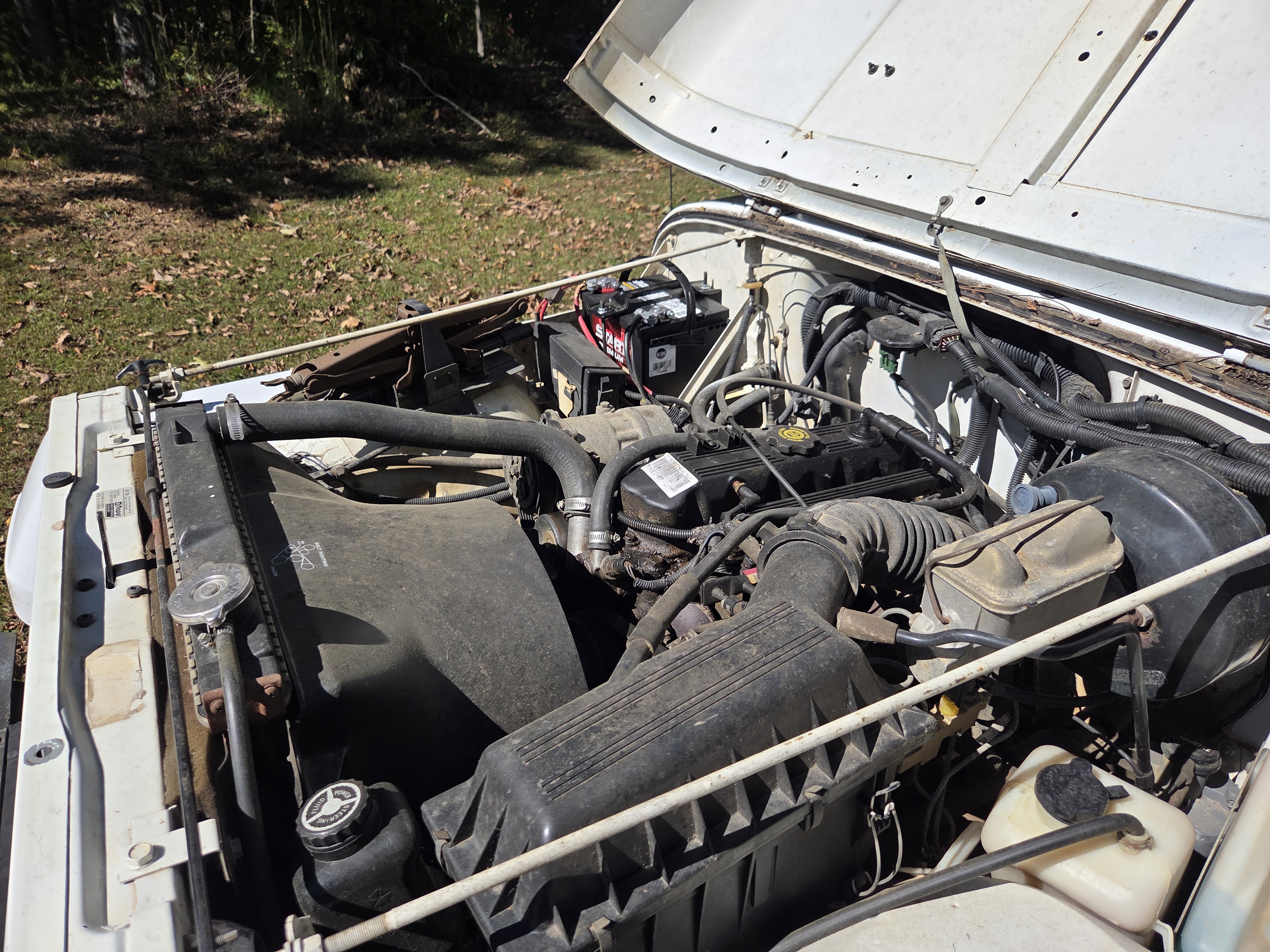 Used 1995 Jeep Wrangler Rio Grande AWD/4WD image 23