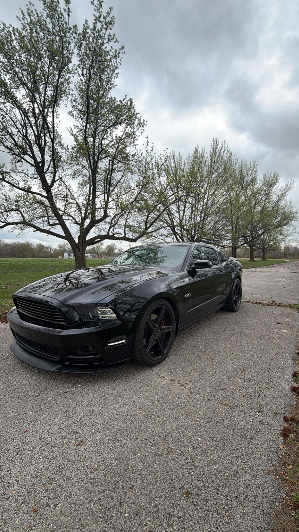 Used 2014 Ford Mustang GT Premium RWD image 4