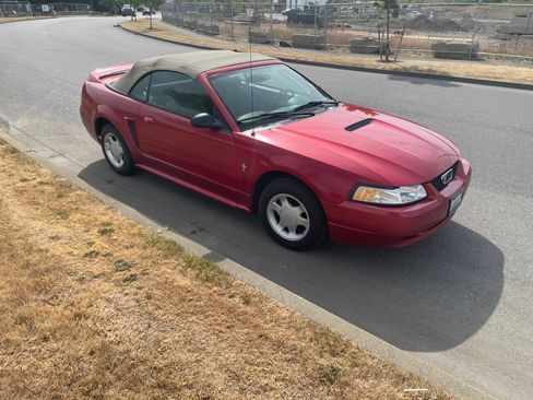 Used 2000 Ford Mustang Convertible RWD image 5
