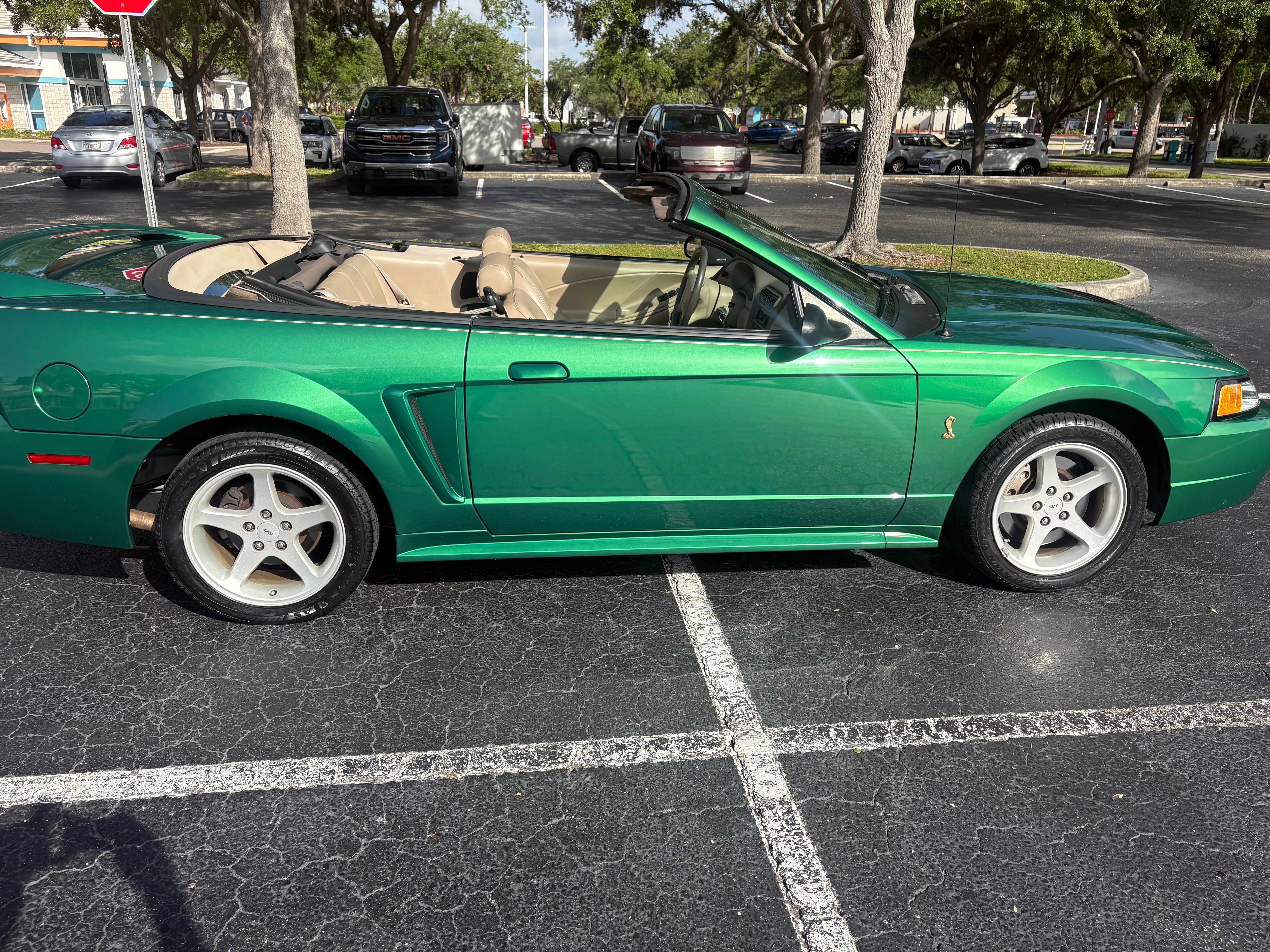 Used 1999 Ford Mustang Cobra RWD image 5