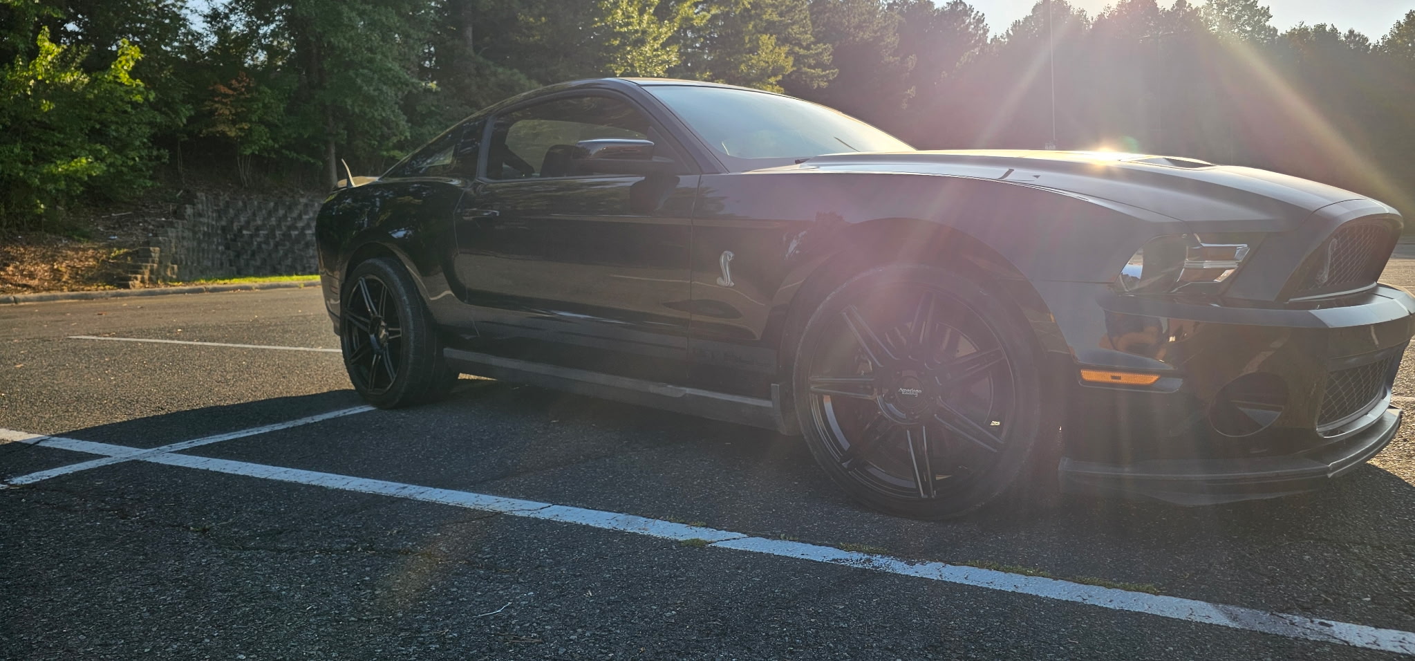 Used 2010 Ford Mustang Shelby GT500 RWD image 9
