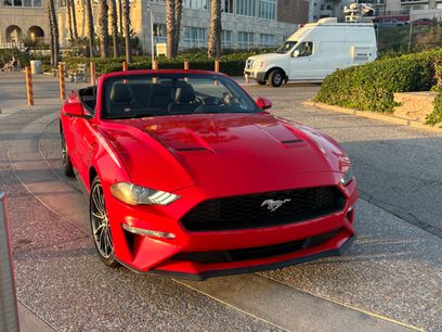Used 2018 Ford Mustang Premium w/ Equipment Group 201A
