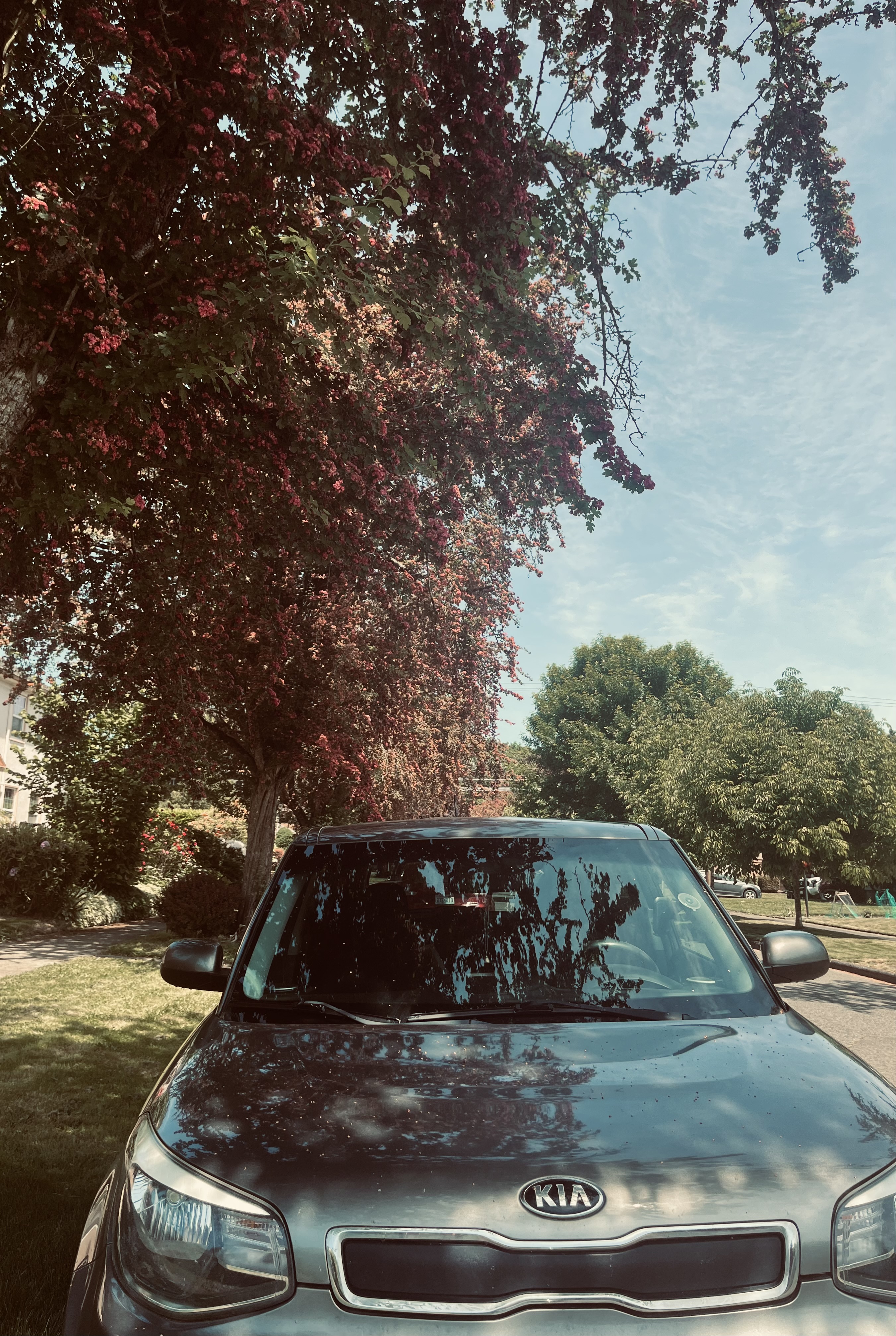 Used 2016 Kia Soul FWD image 11