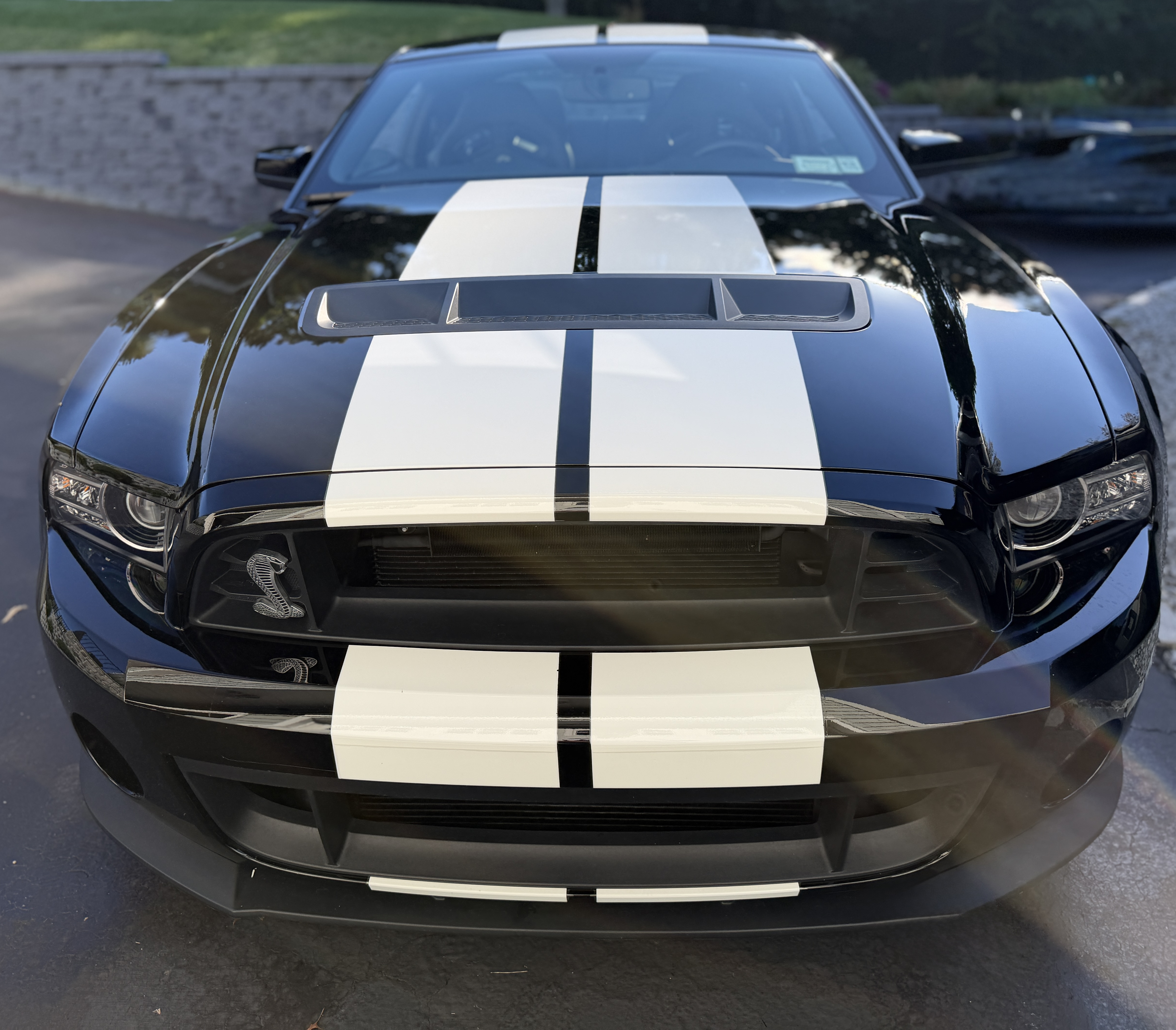 Used 2014 Ford Mustang Shelby GT500 w/ Equipment Group 821A RWD image 2