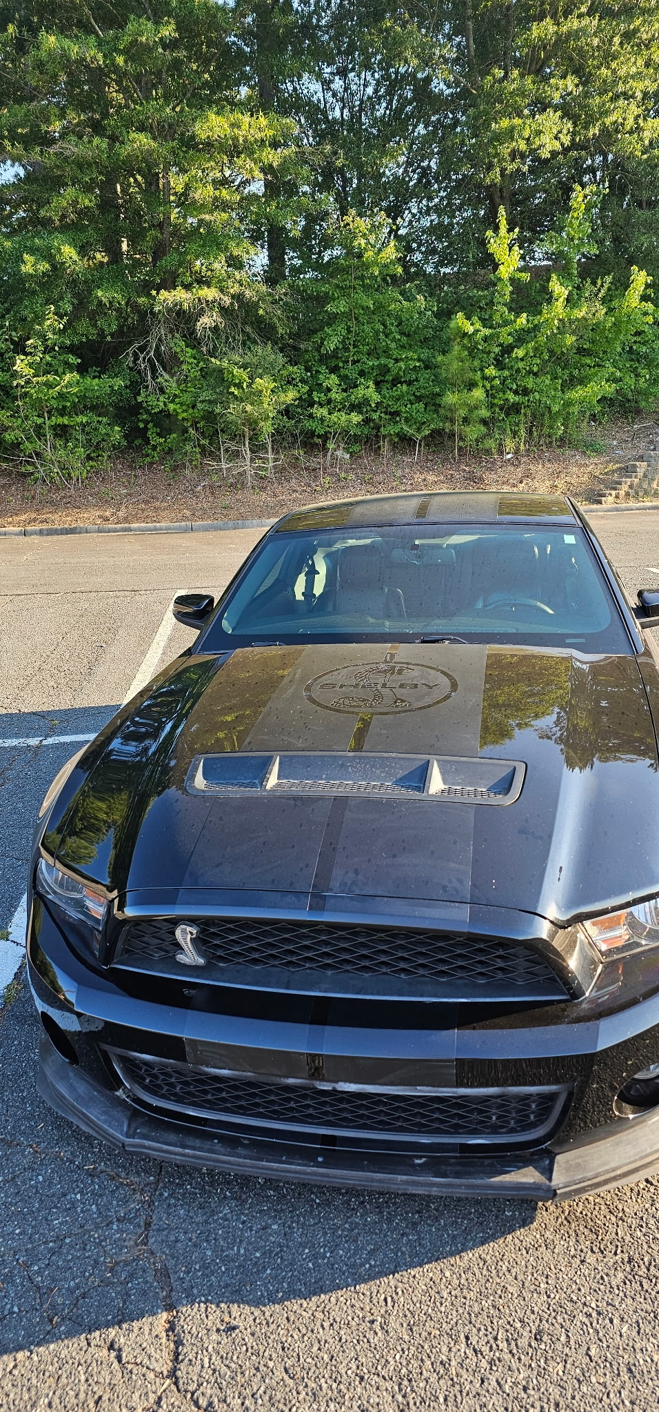 Used 2010 Ford Mustang Shelby GT500 RWD image 6