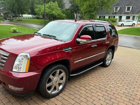 Used 2011 Cadillac Escalade Luxury AWD/4WD image 1