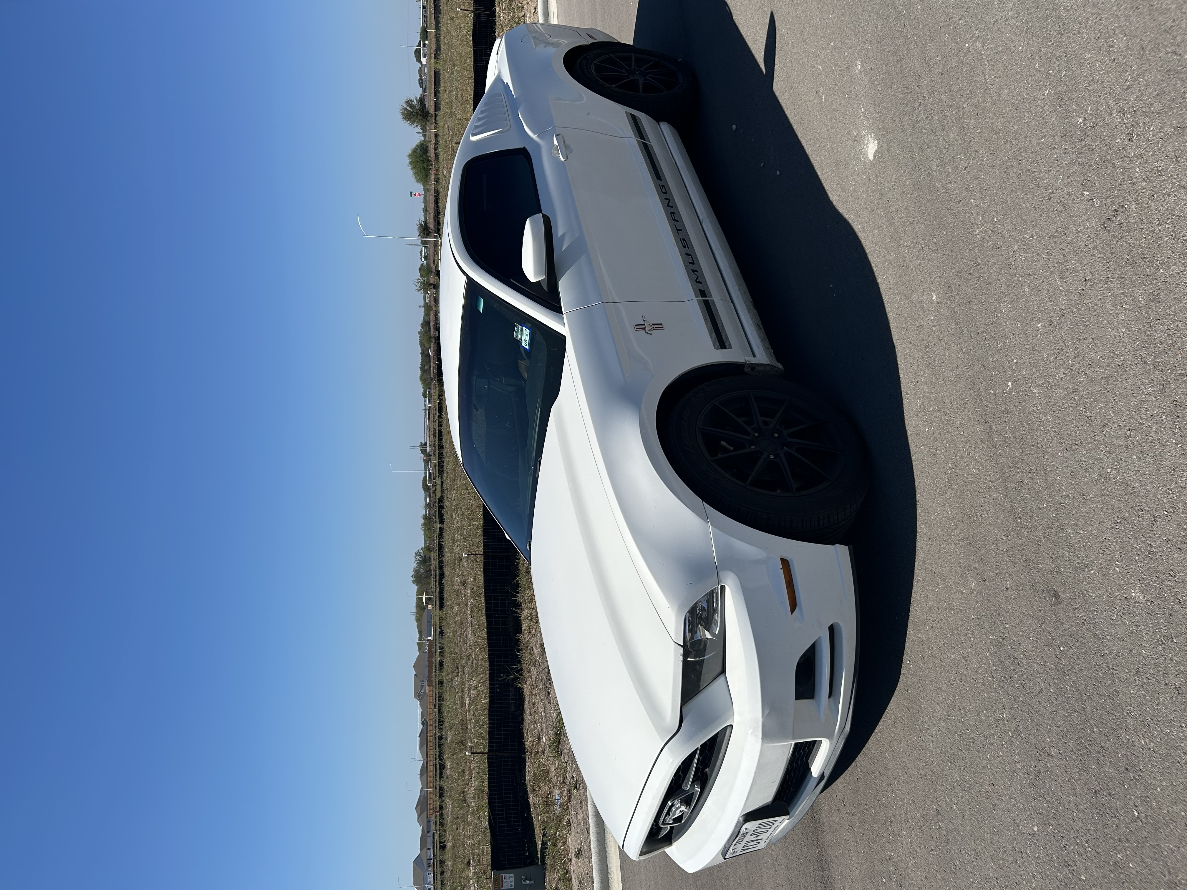 Used 2013 Ford Mustang Premium RWD image 1