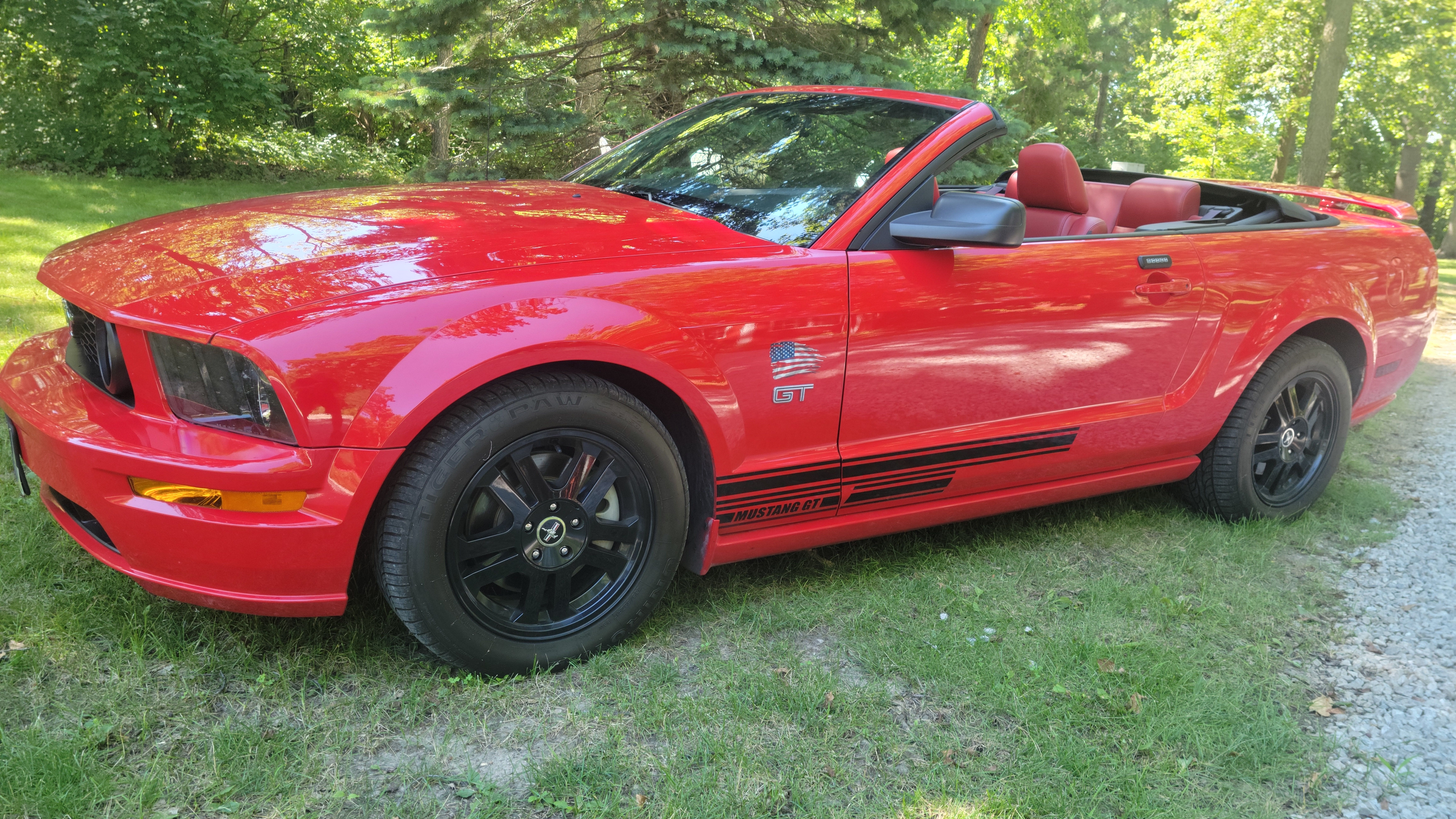 Used 2006 Ford Mustang GT RWD image 1