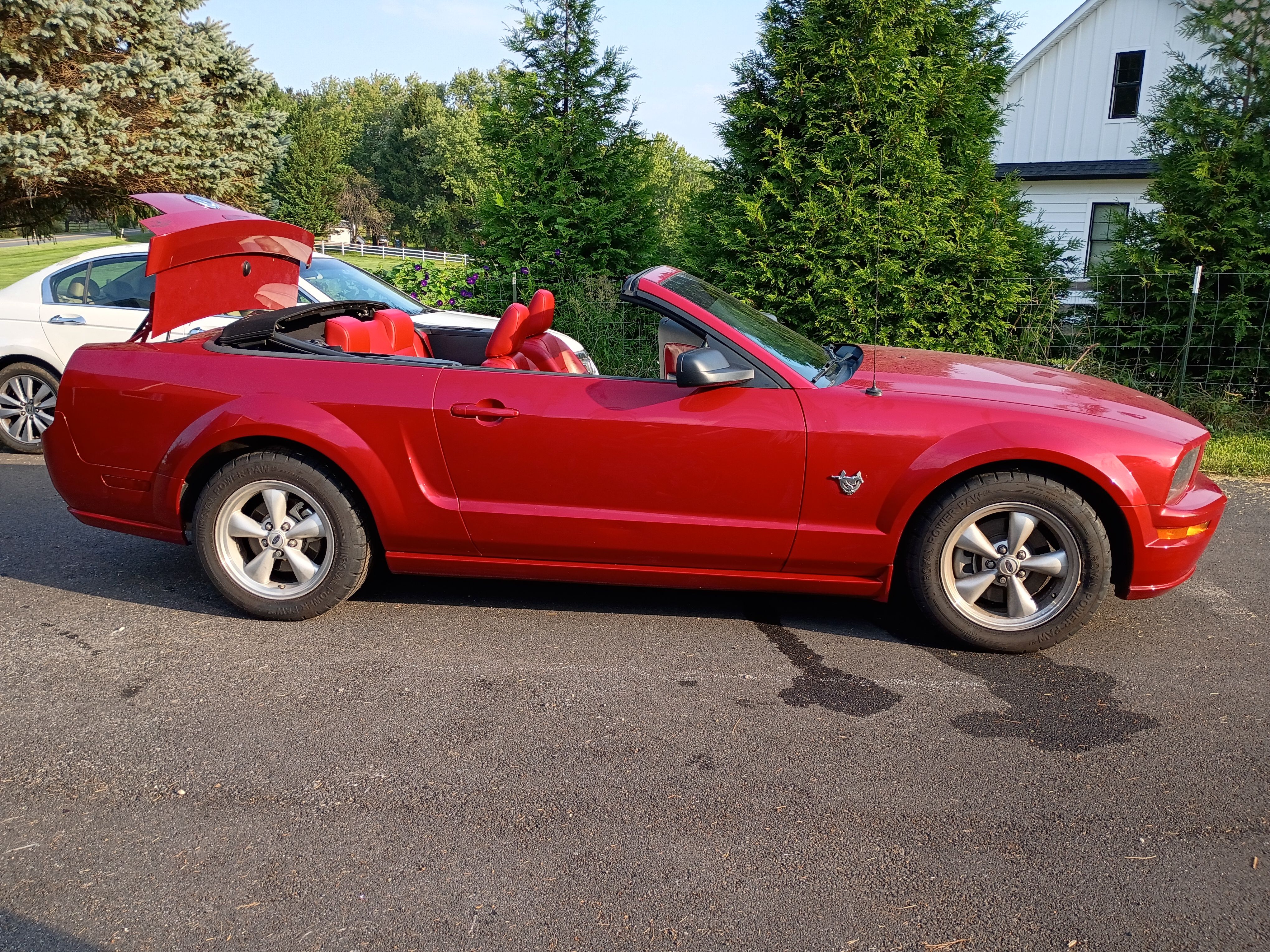Used 2009 Ford Mustang GT Premium RWD image 1