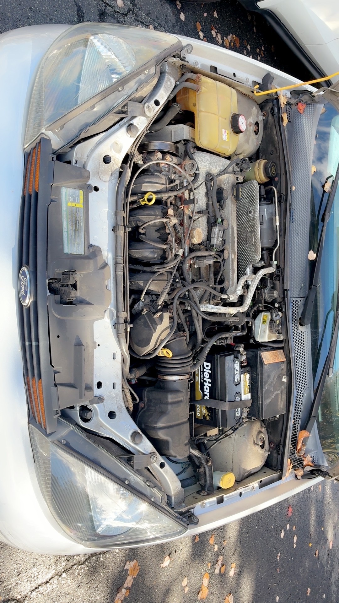 Used 2003 Ford Focus ZX5 Hatchback FWD image 12