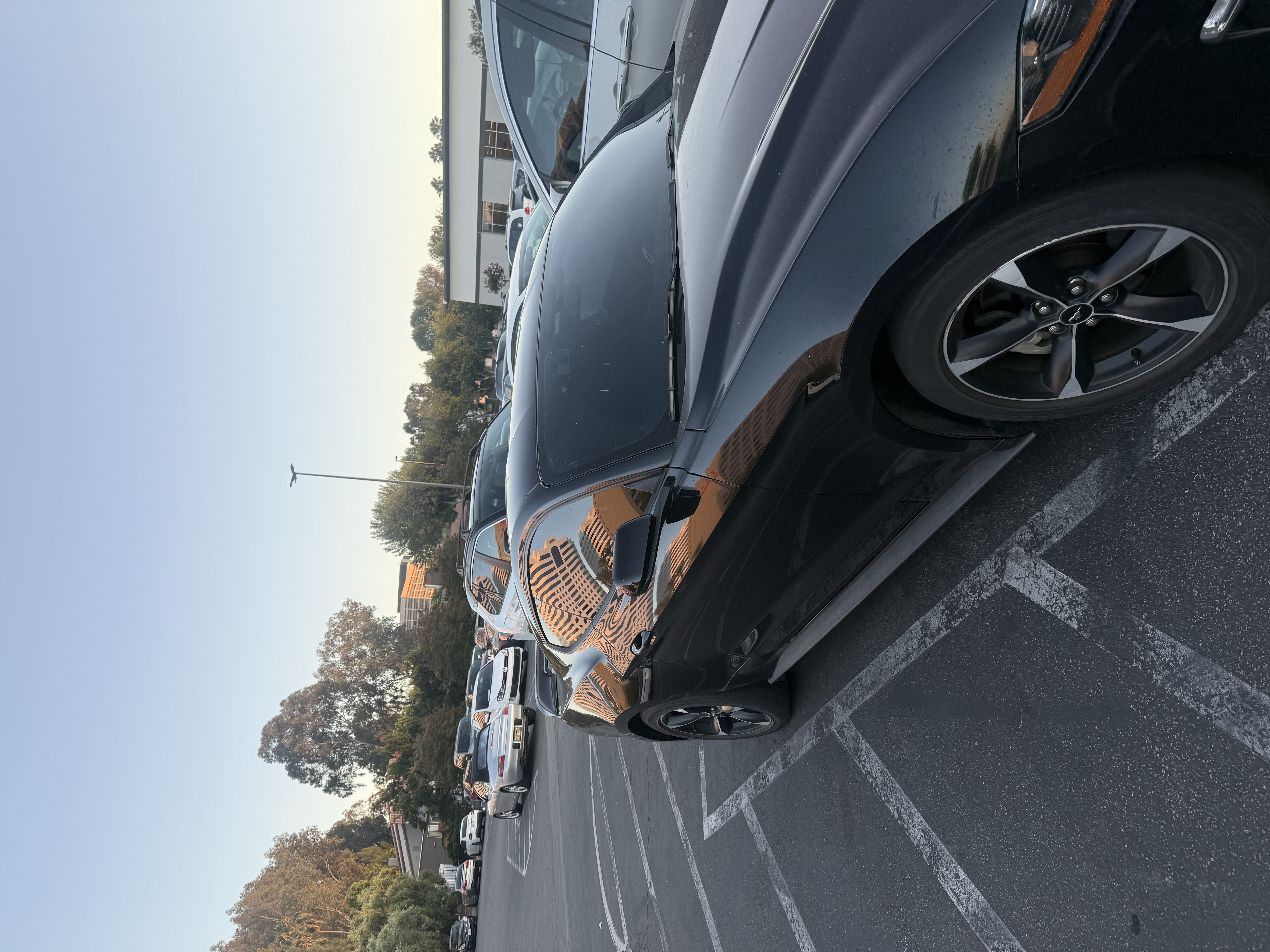 Used 2019 Ford Mustang Coupe RWD image 5