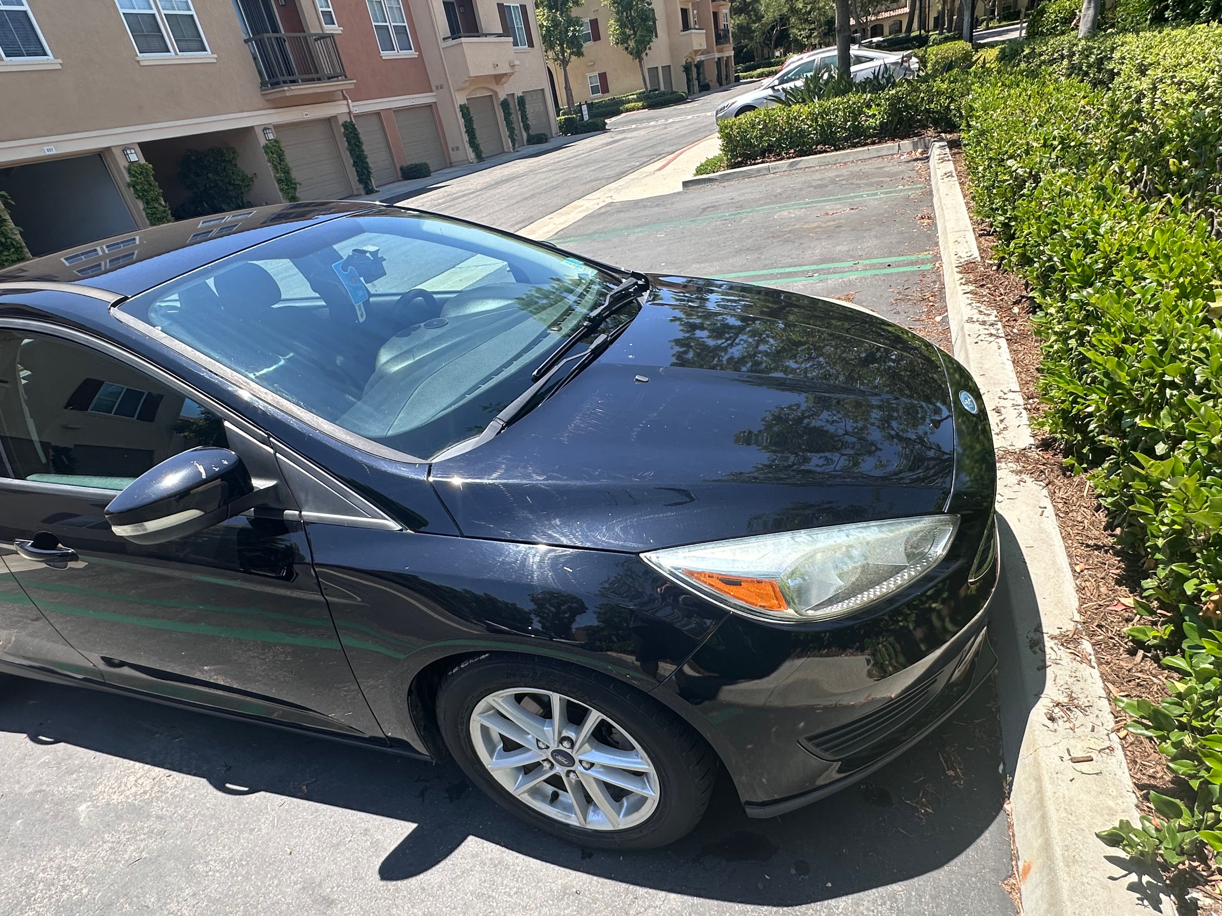 Used 2016 Ford Focus SE FWD image 6