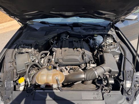 Used 2019 Ford Mustang EcoBoost Coupe 2D w/ Equipment Group 101A image 16