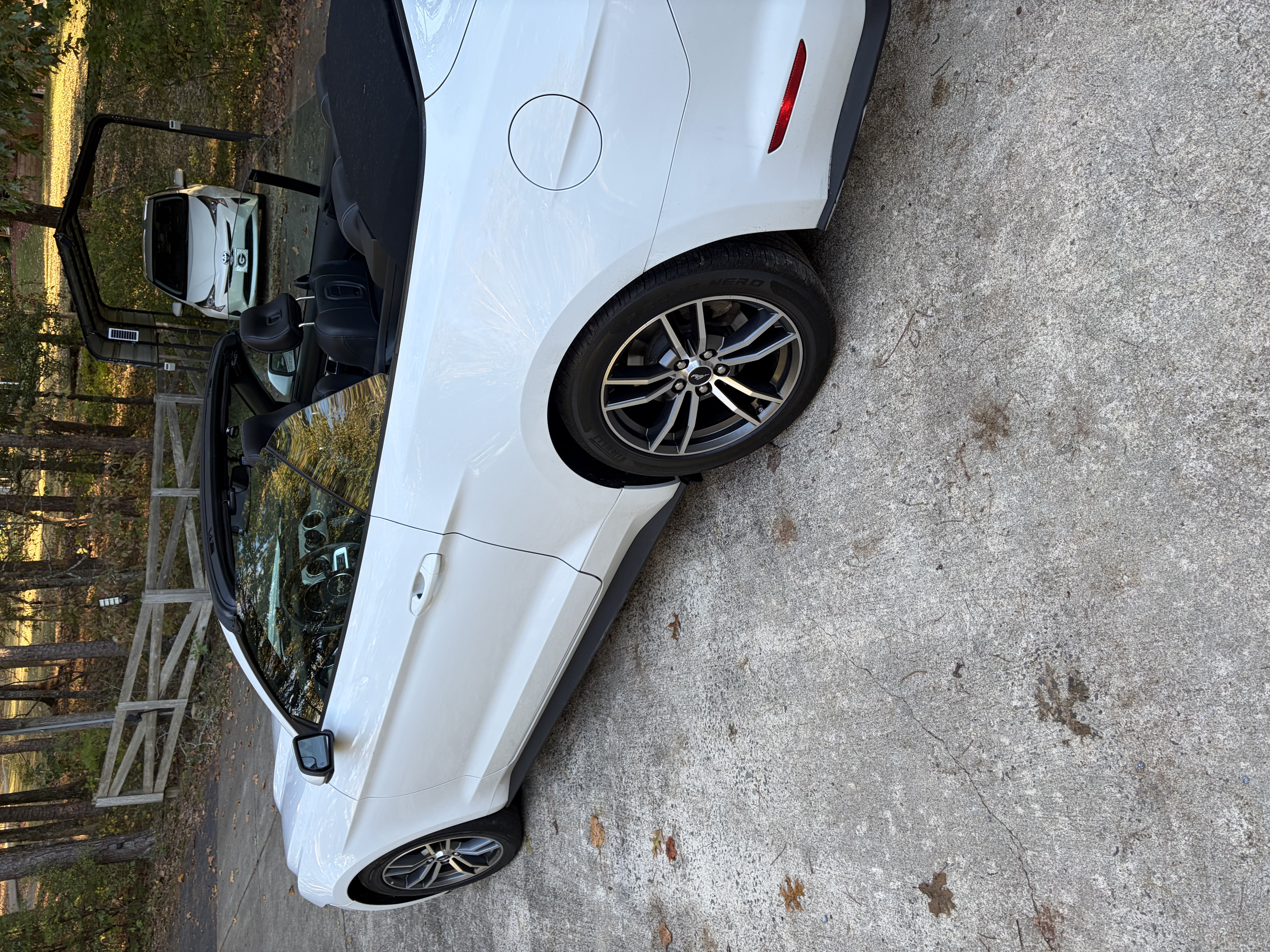 Used 2015 Ford Mustang Premium RWD image 1